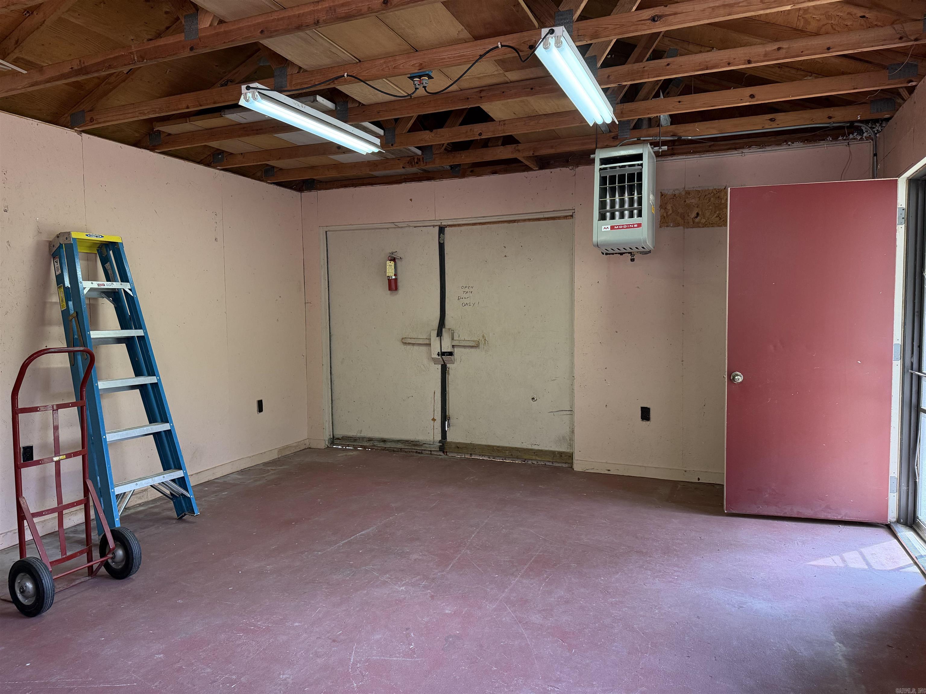 6 Cottontail  Conway, AR