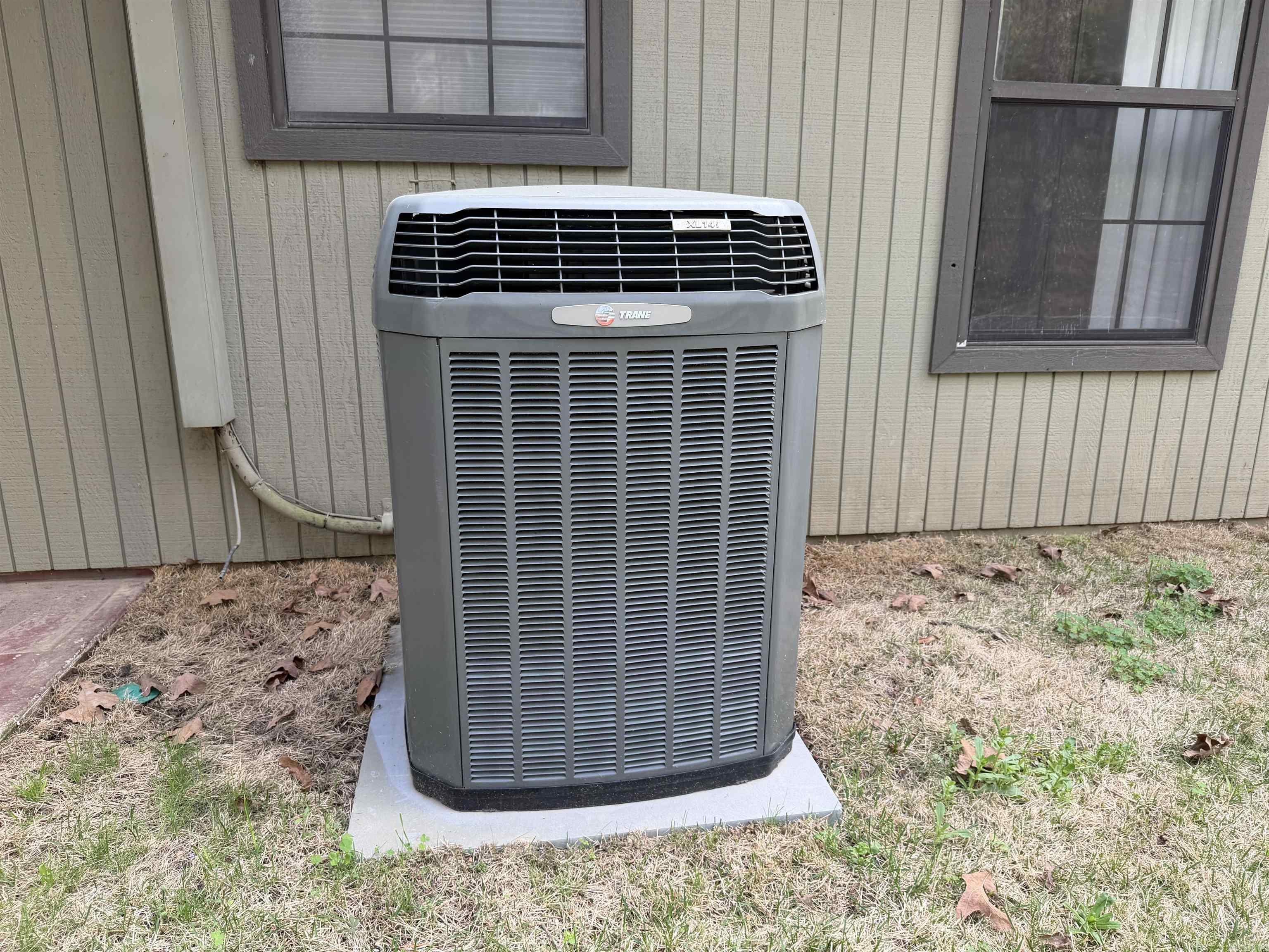 6 Cottontail  Conway, AR