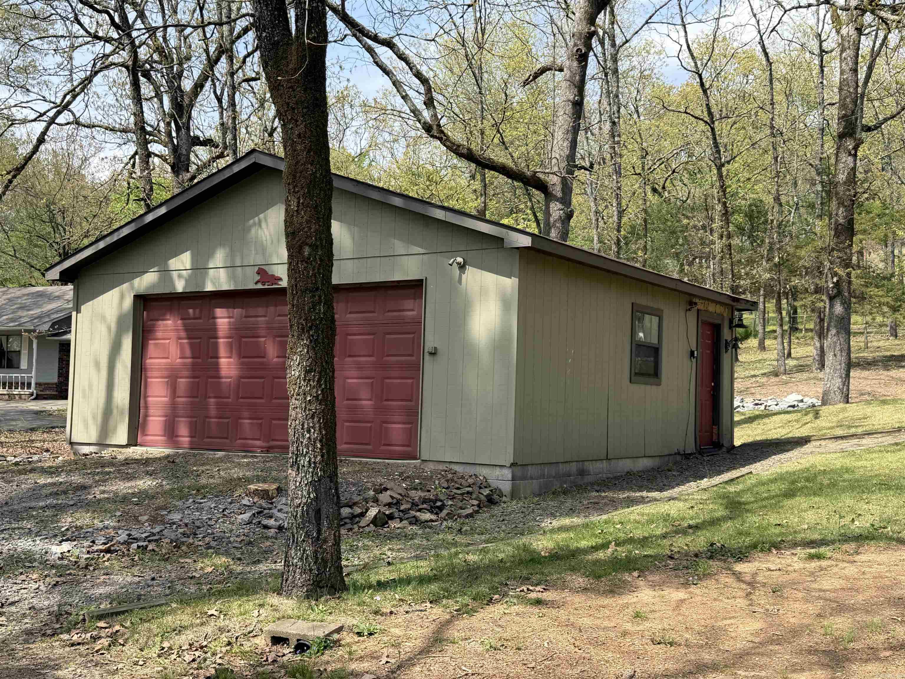 6 Cottontail  Conway, AR