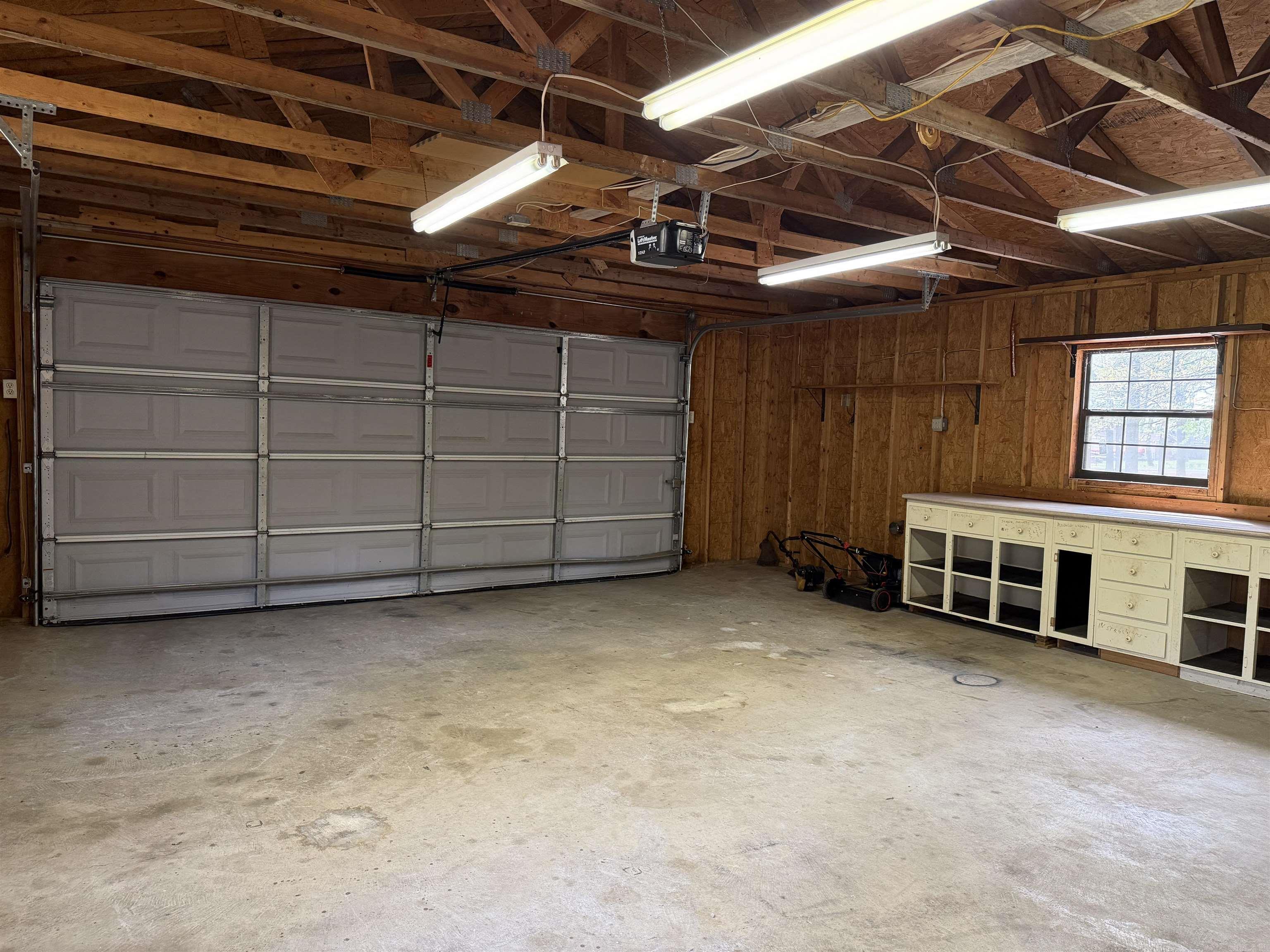 6 Cottontail  Conway, AR