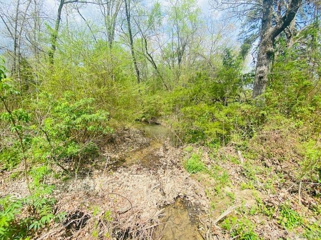 706 Old Waters Highway Oden, AR 71961