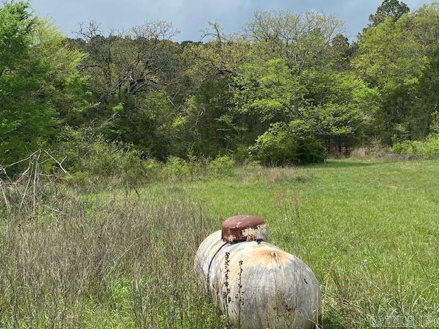 706 Old Waters Highway Oden, AR 71961