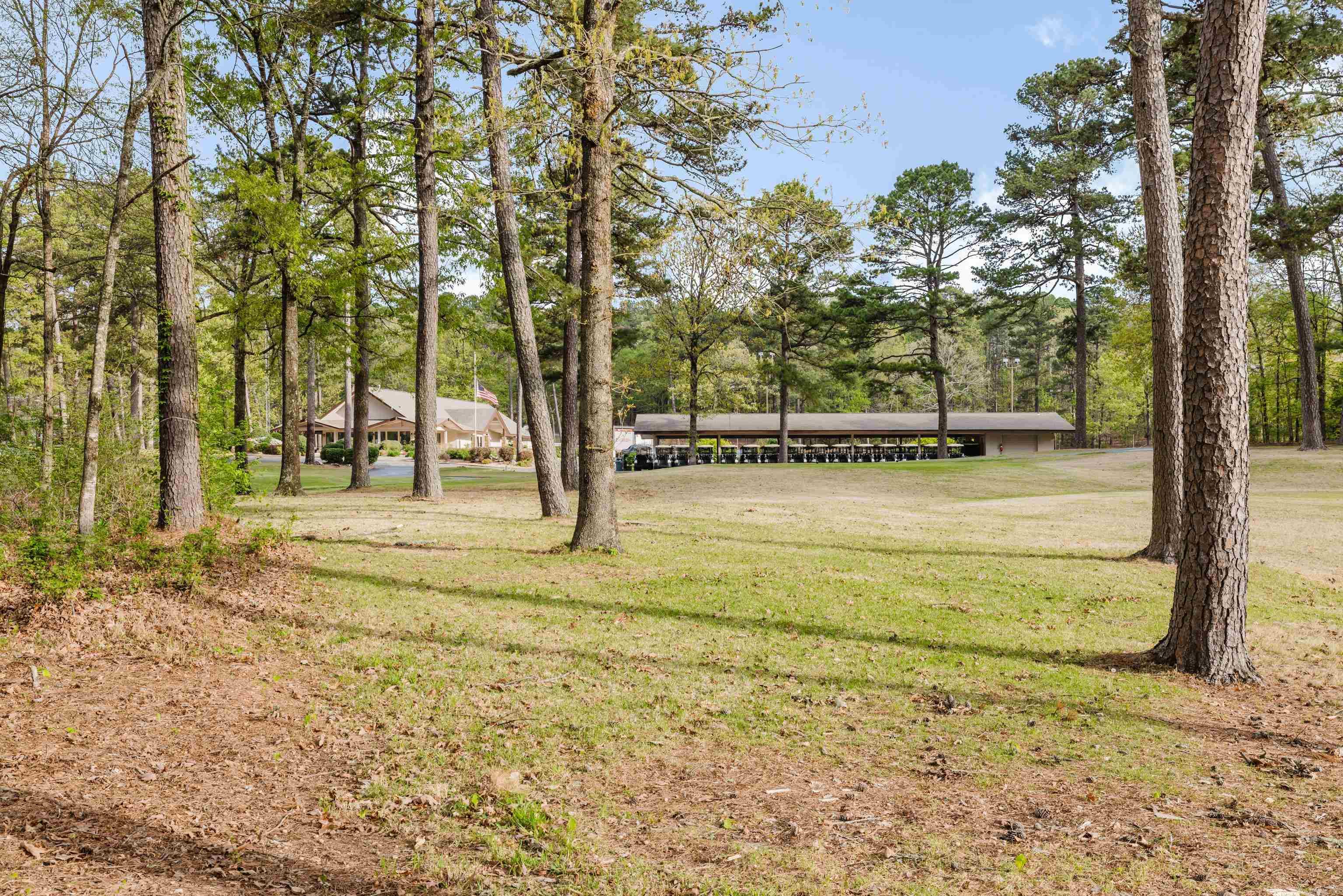 52 Sergio  Hot Springs Village, AR