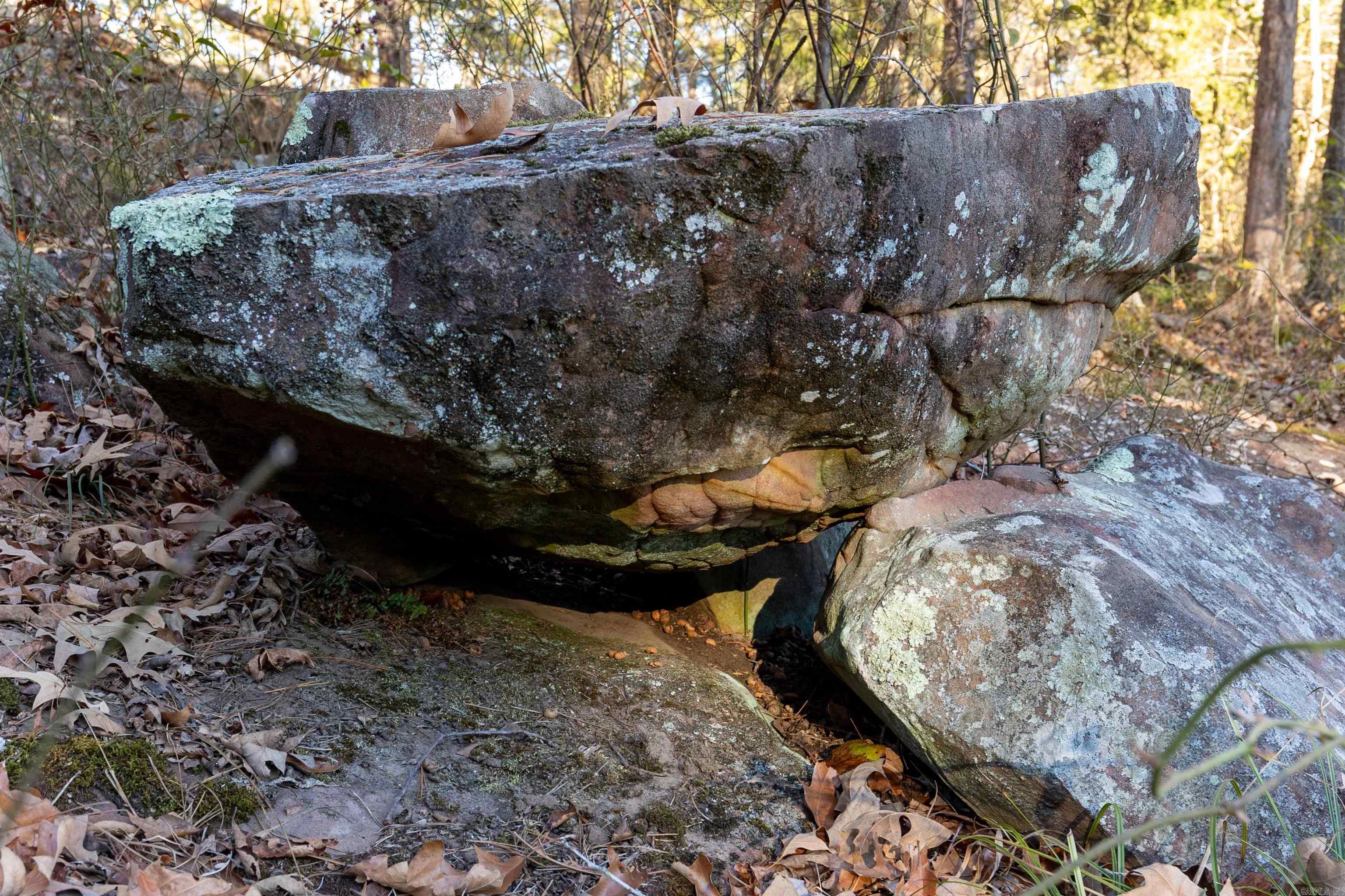 3566 Highway 60 W  Perryville, AR