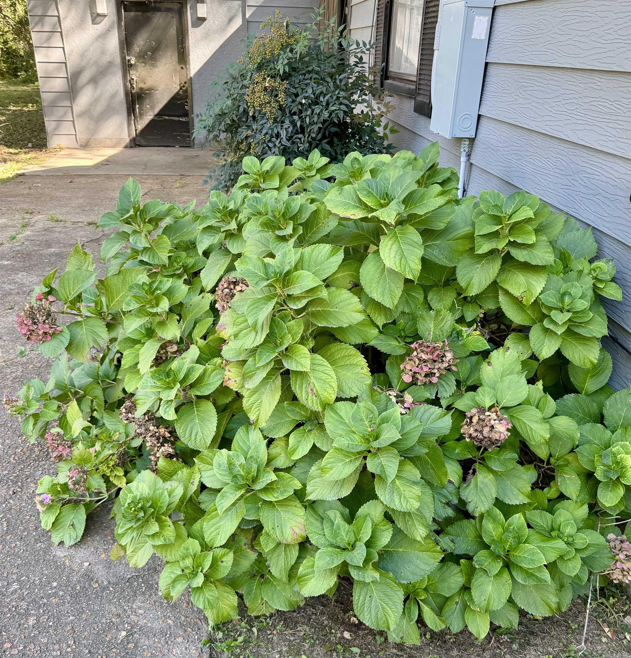 702 Freeman  Jonesboro, AR