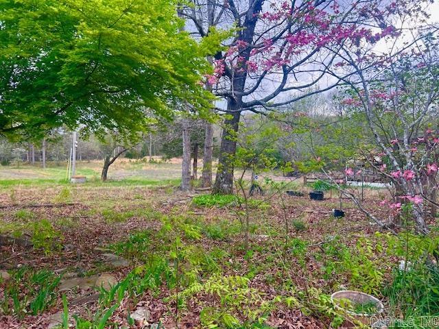 397 Fox Hollow  Fox, AR