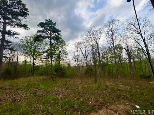 397 Fox Hollow  Fox, AR