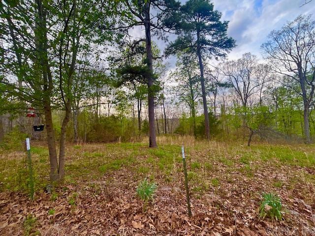 397 Fox Hollow  Fox, AR