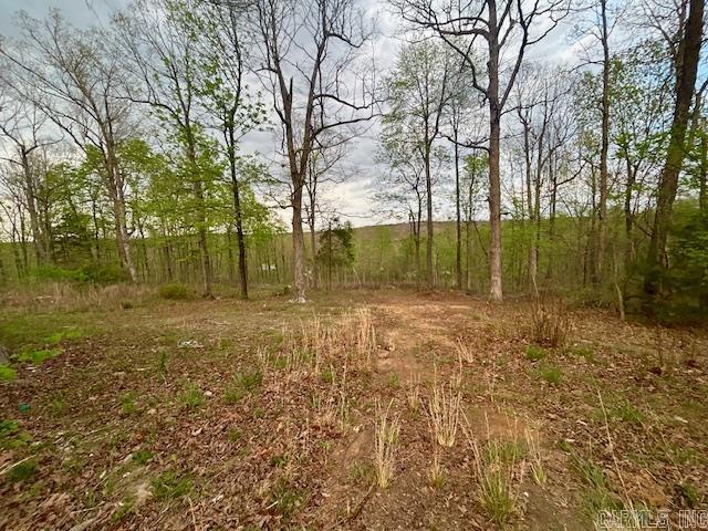 397 Fox Hollow  Fox, AR