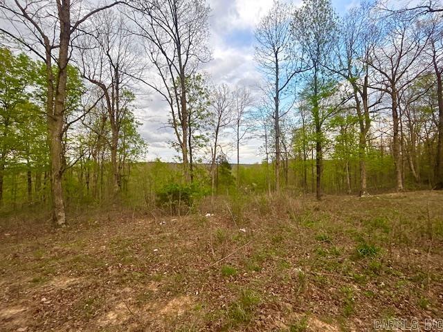 397 Fox Hollow  Fox, AR