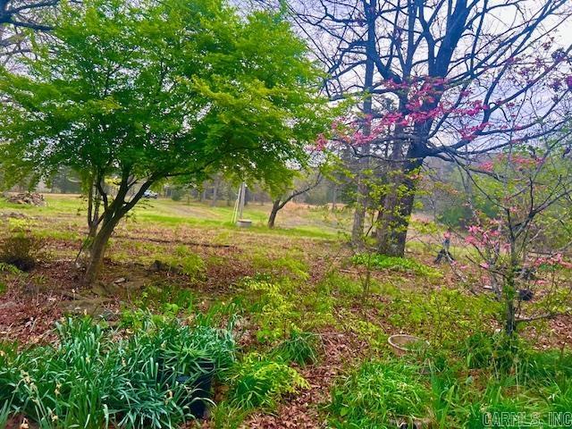 397 Fox Hollow  Fox, AR