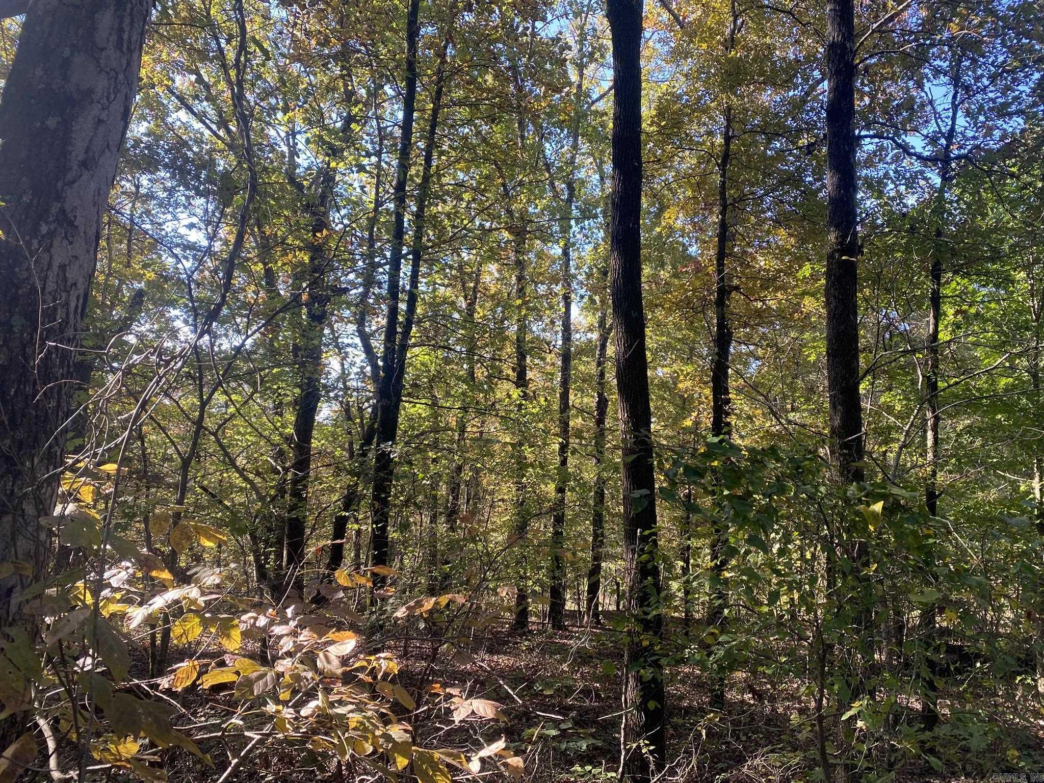 000 Jensen  Mountain View, AR