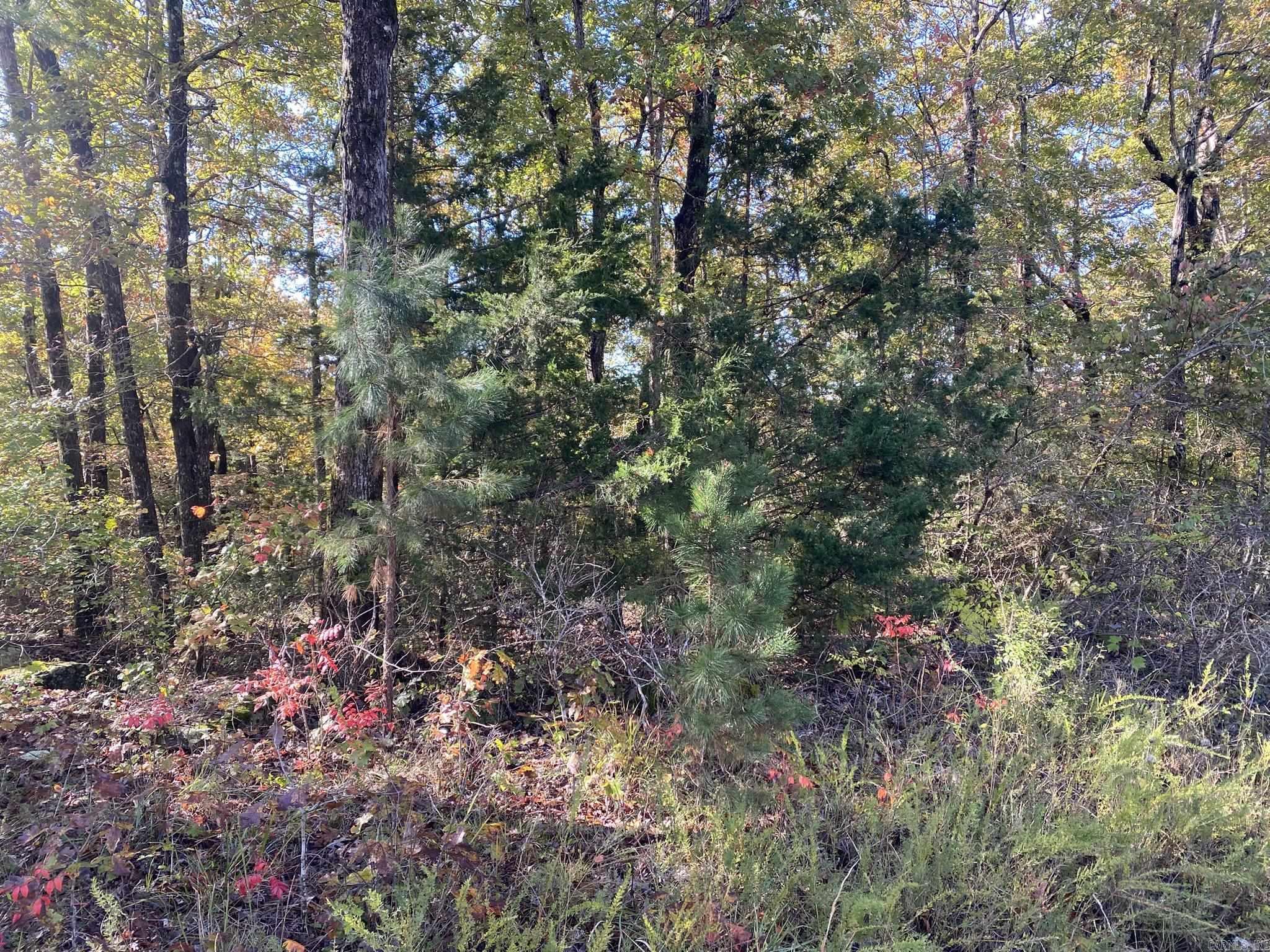 000 Jensen  Mountain View, AR