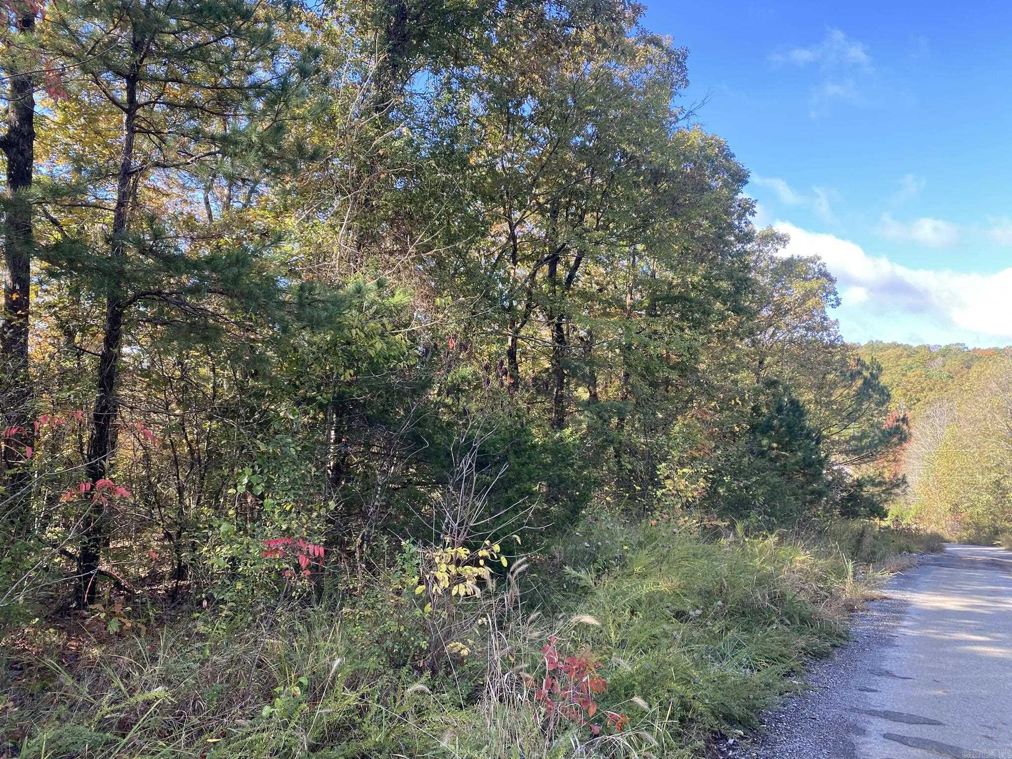 000 Jensen  Mountain View, AR