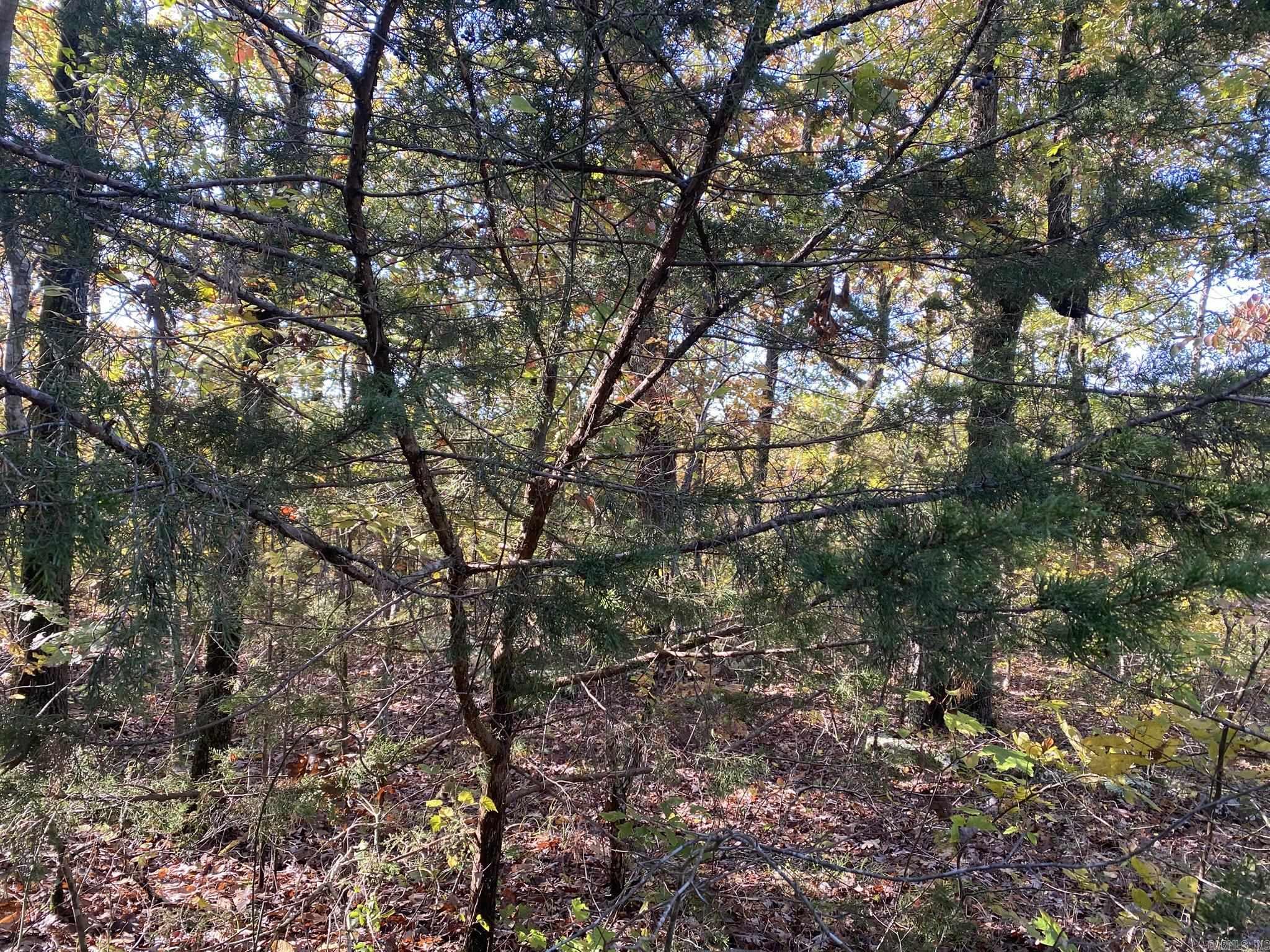 000 Jensen  Mountain View, AR