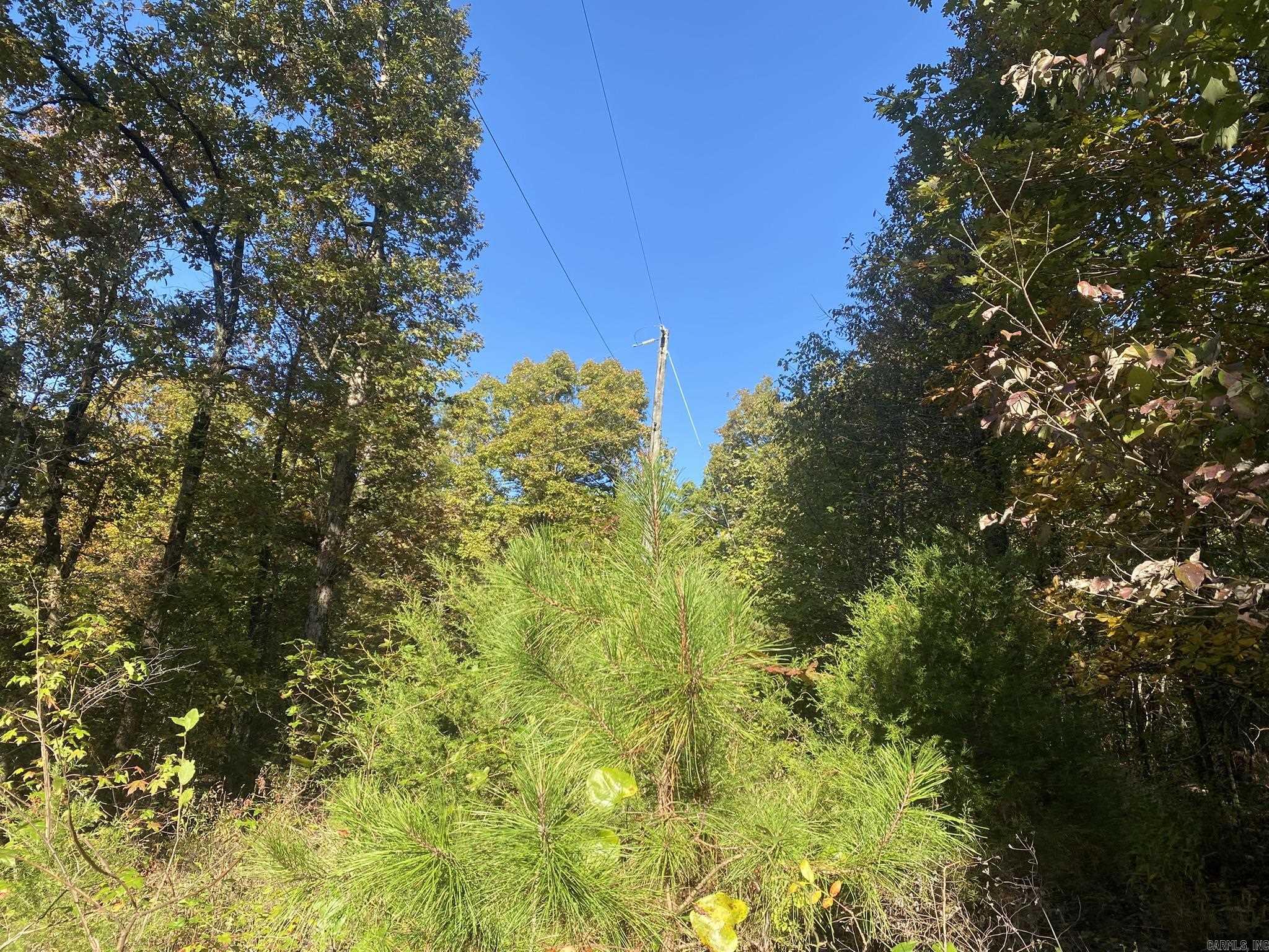 000 Jensen  Mountain View, AR