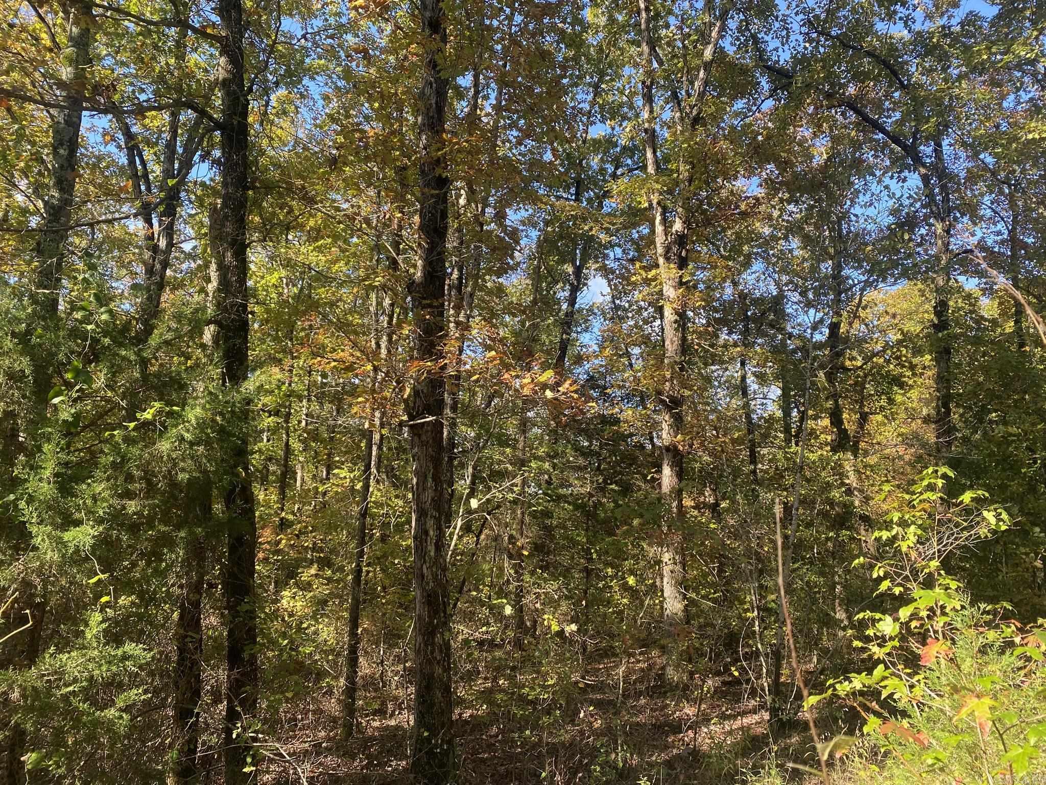 000 Jensen  Mountain View, AR