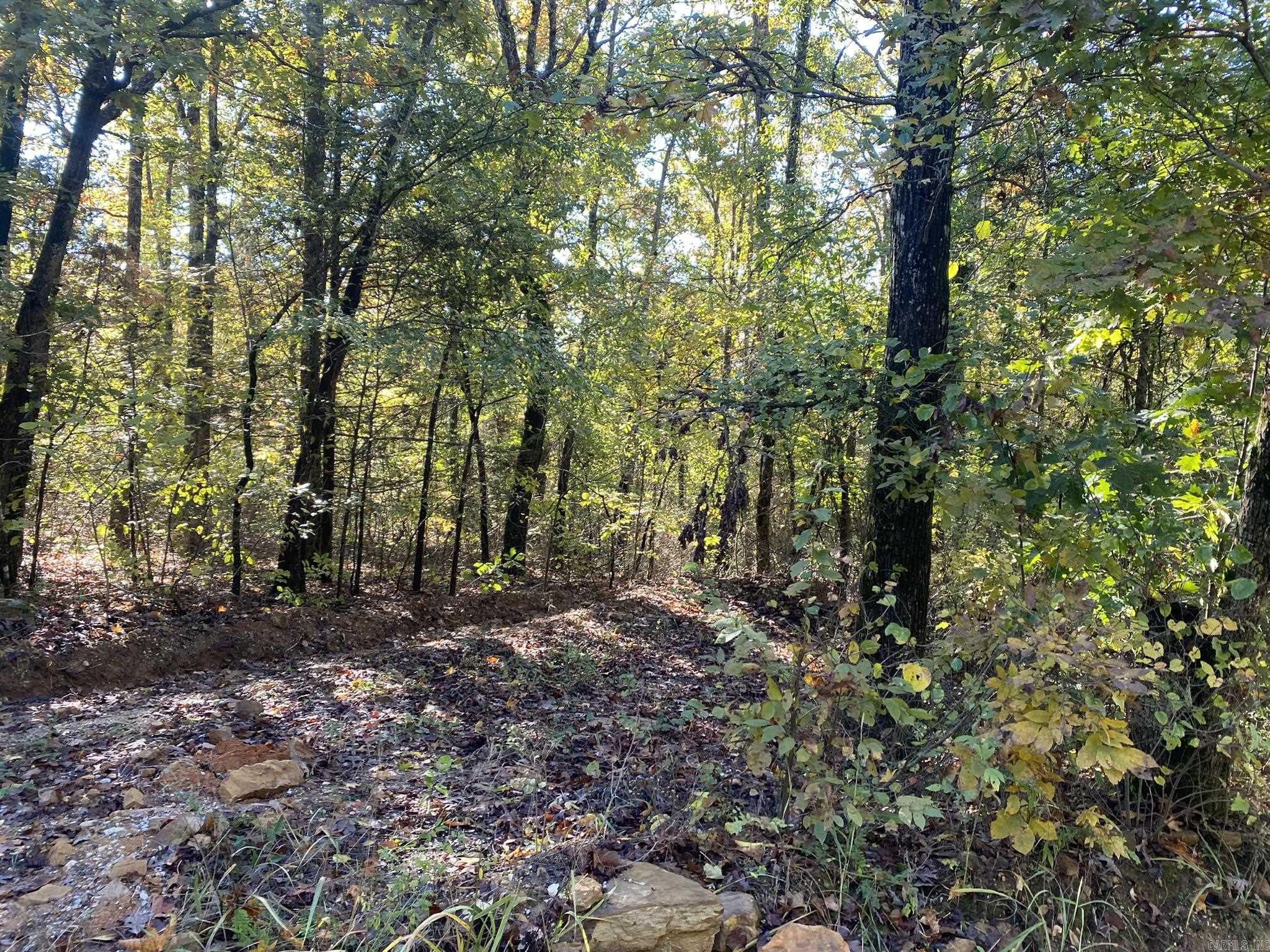 000 Jensen  Mountain View, AR