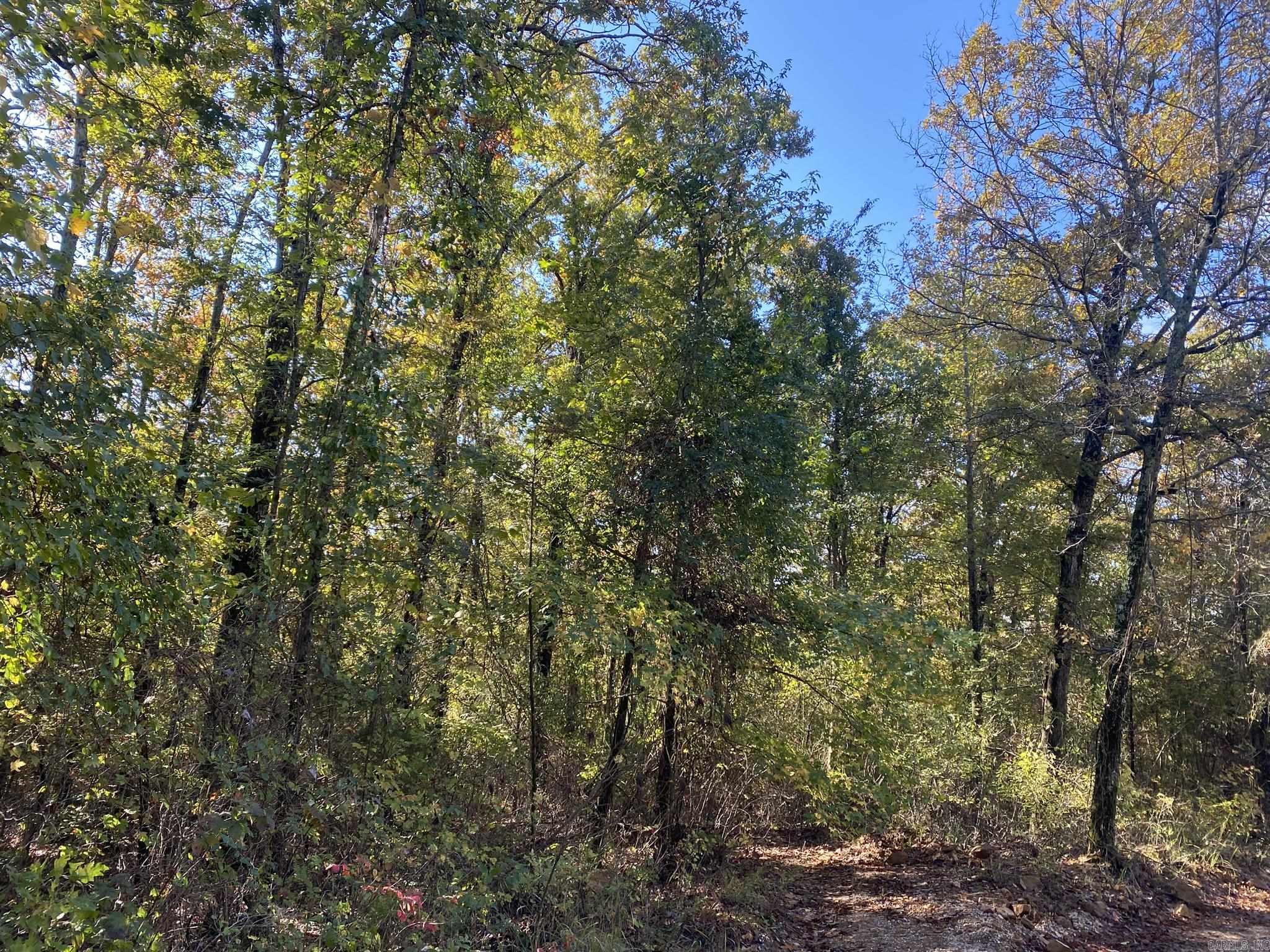 000 Jensen  Mountain View, AR