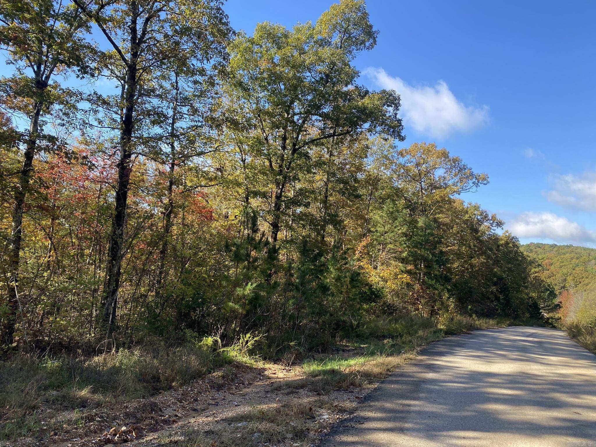 000 Jensen  Mountain View, AR