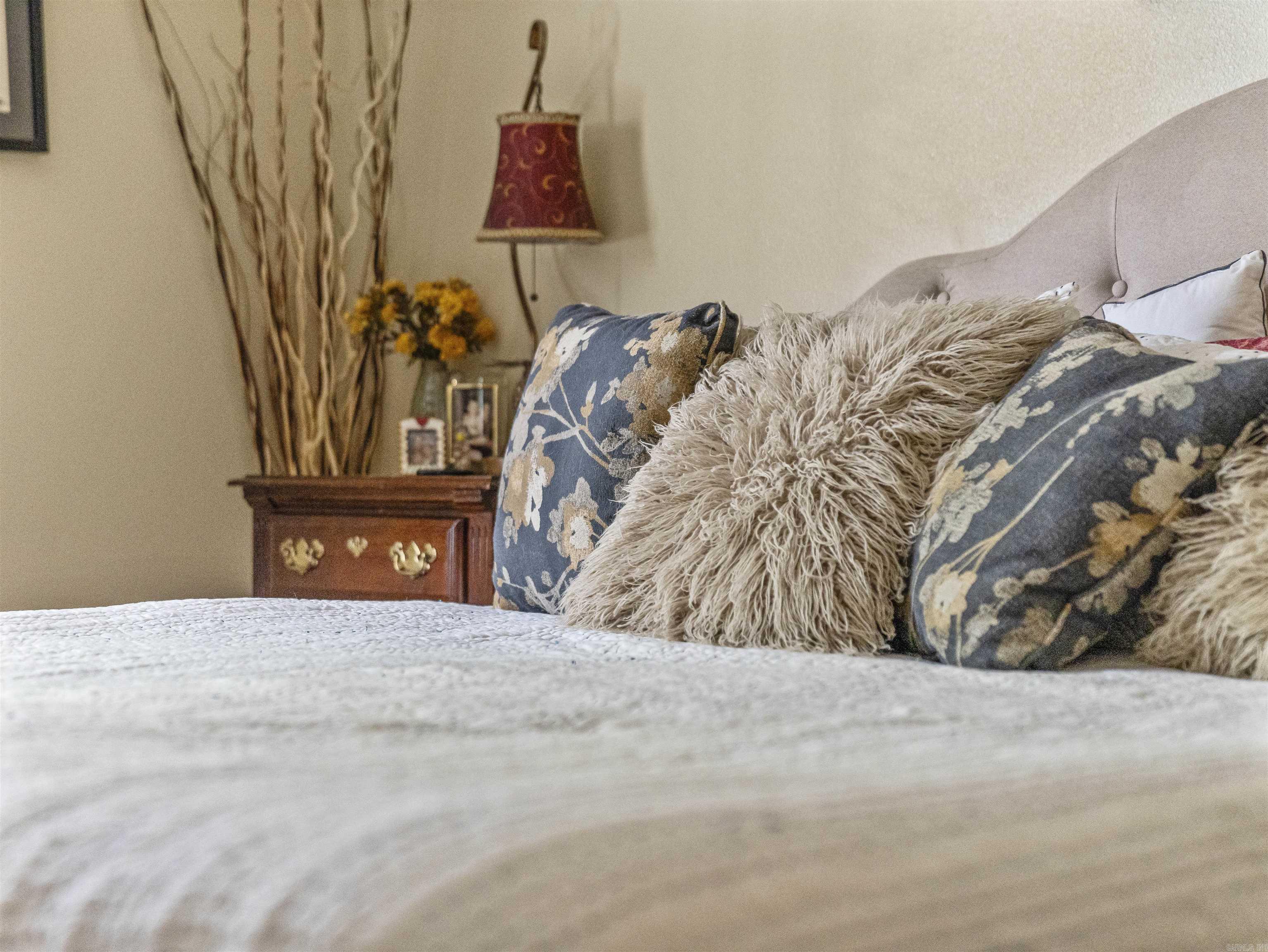 176 Wolf Ridge  Hot Springs, AR