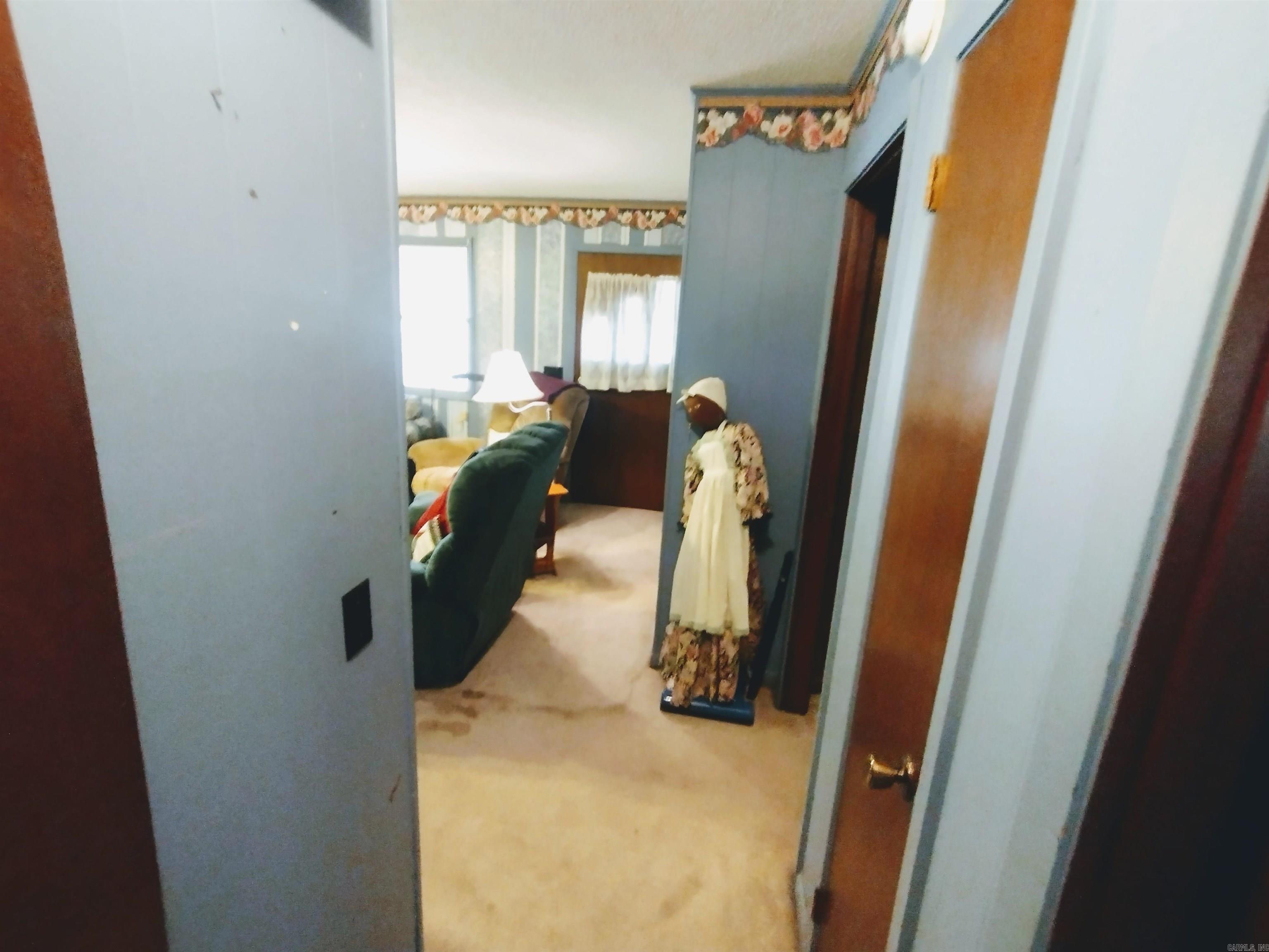 201 S Vine  Mountain View, AR