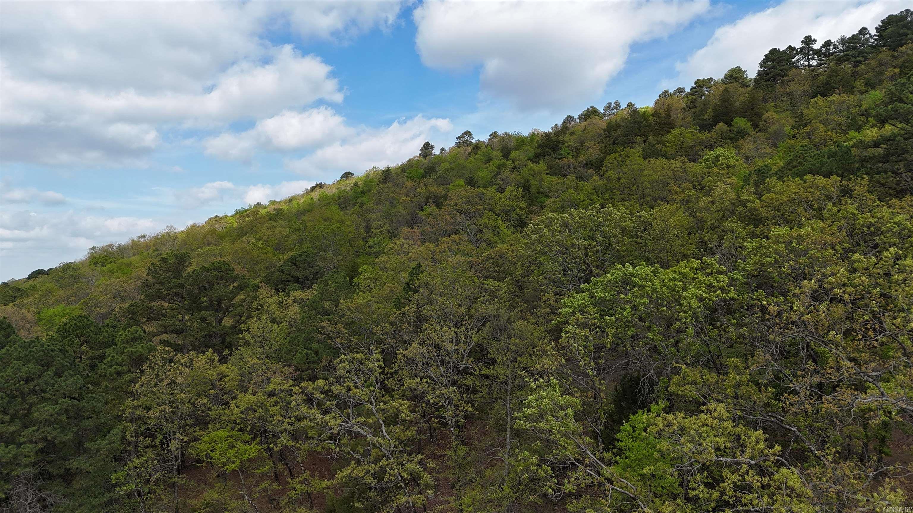 000 Hog Thief Valley  Magazine, AR