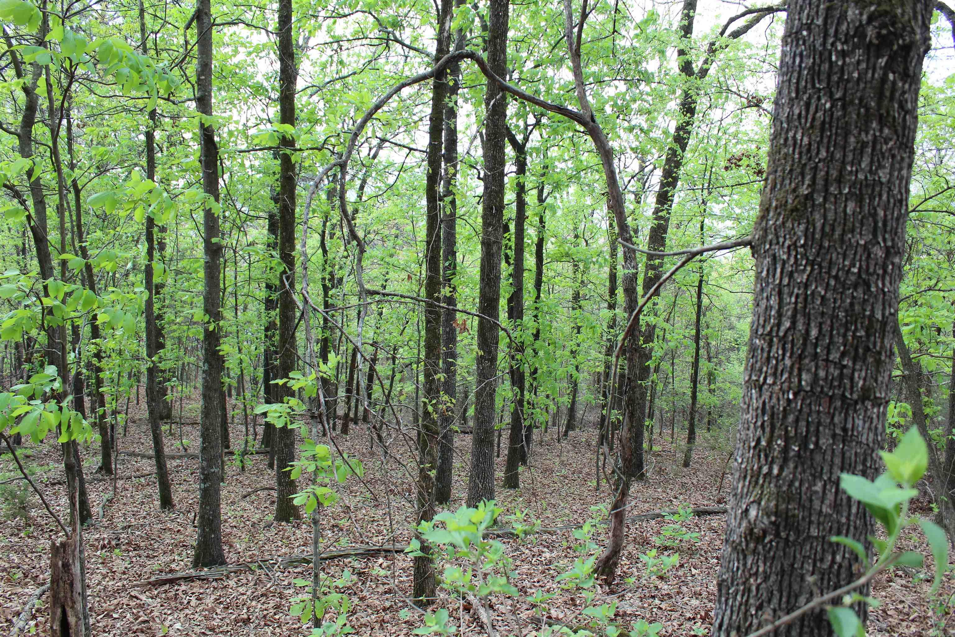 000 Hog Thief Valley  Magazine, AR