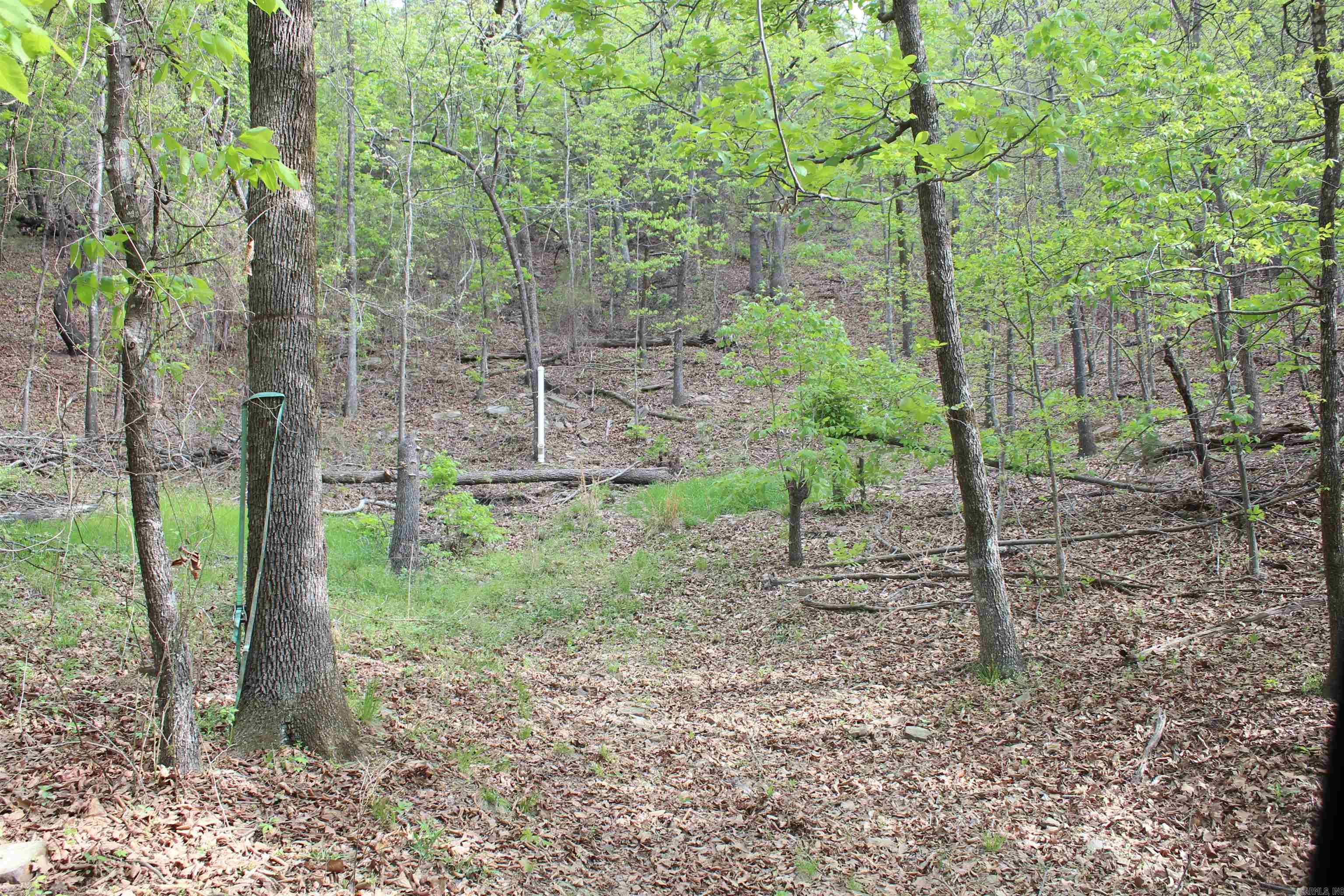 000 Hog Thief Valley  Magazine, AR