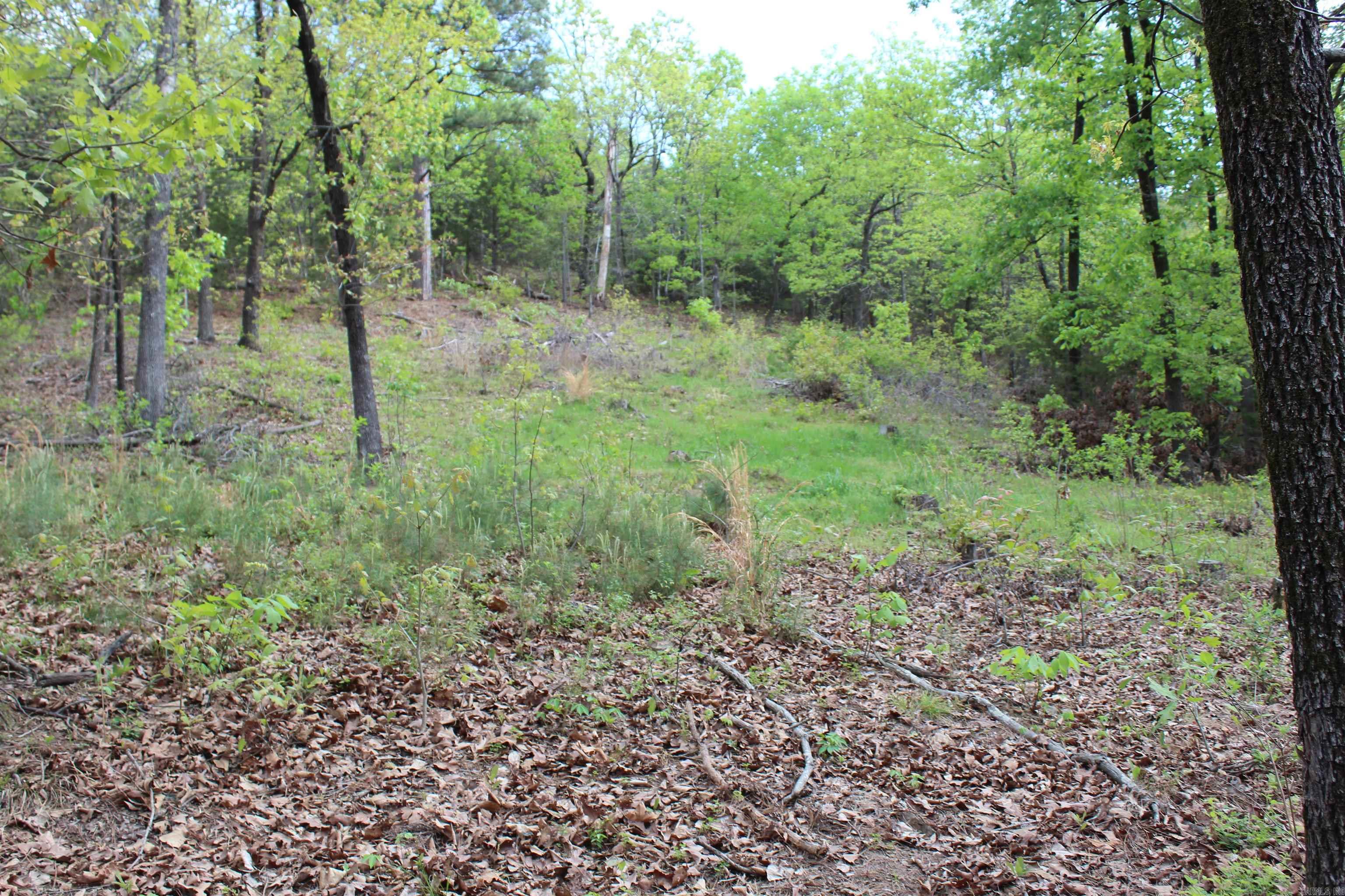 000 Hog Thief Valley  Magazine, AR