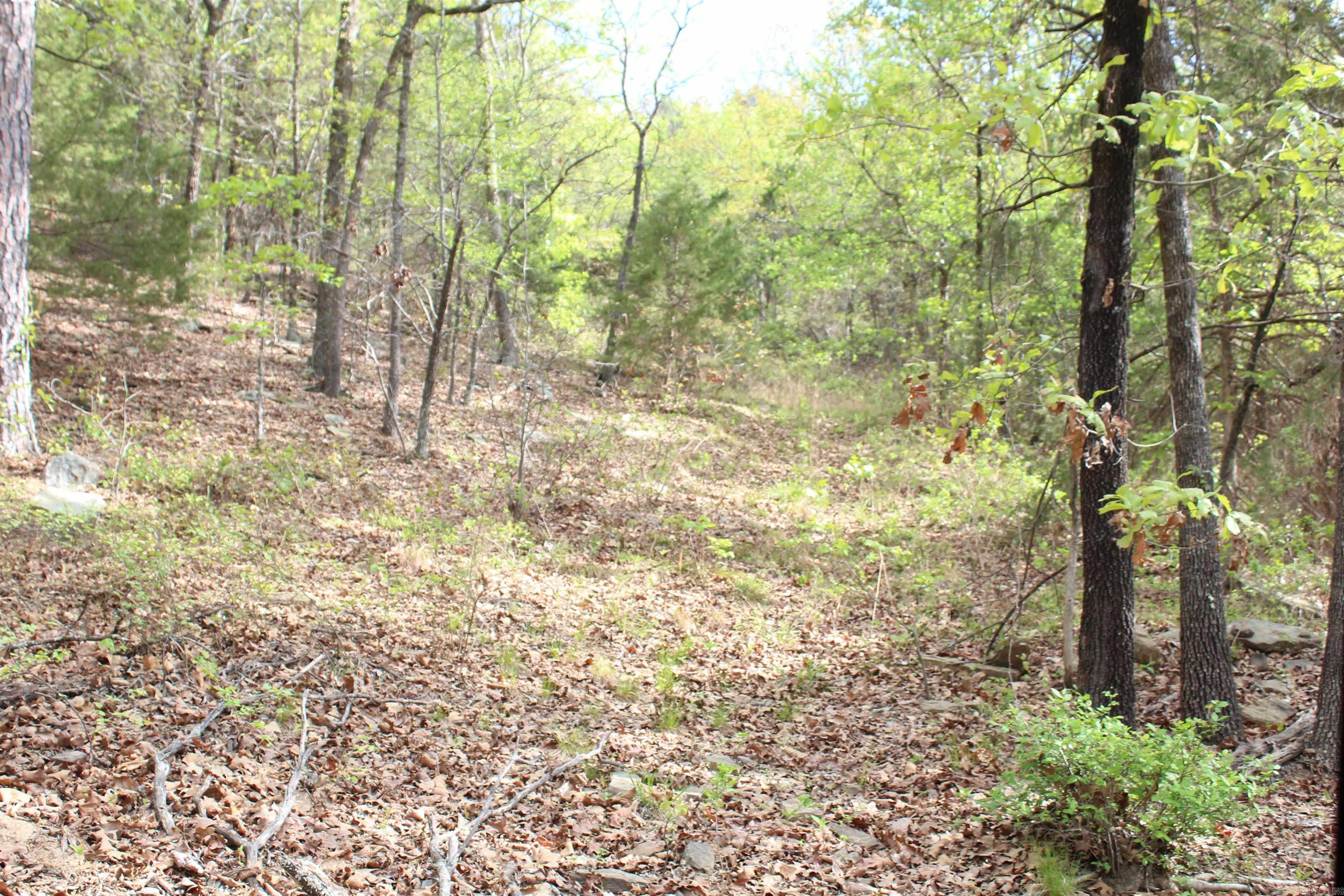 000 Hog Thief Valley  Magazine, AR