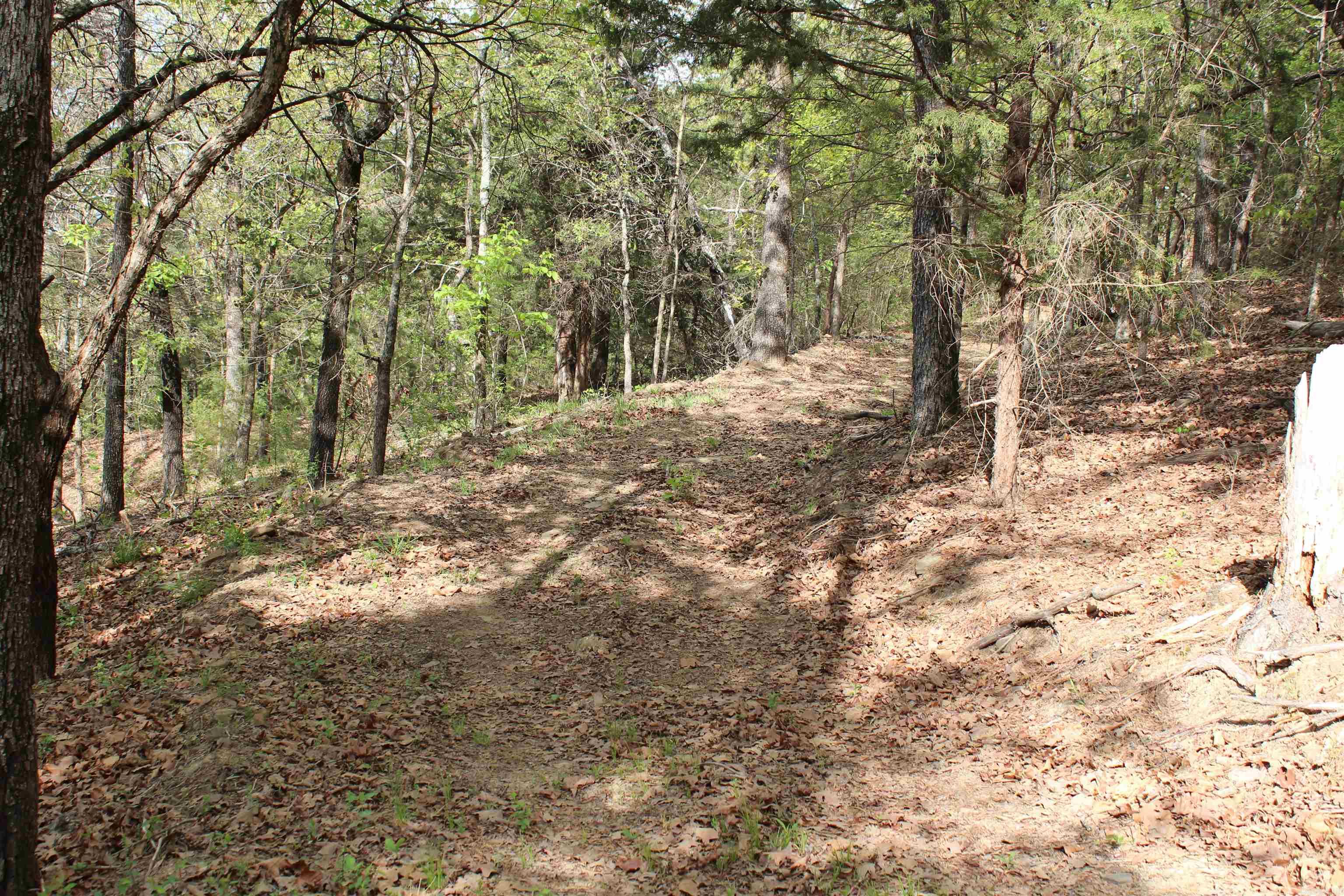 000 Hog Thief Valley  Magazine, AR