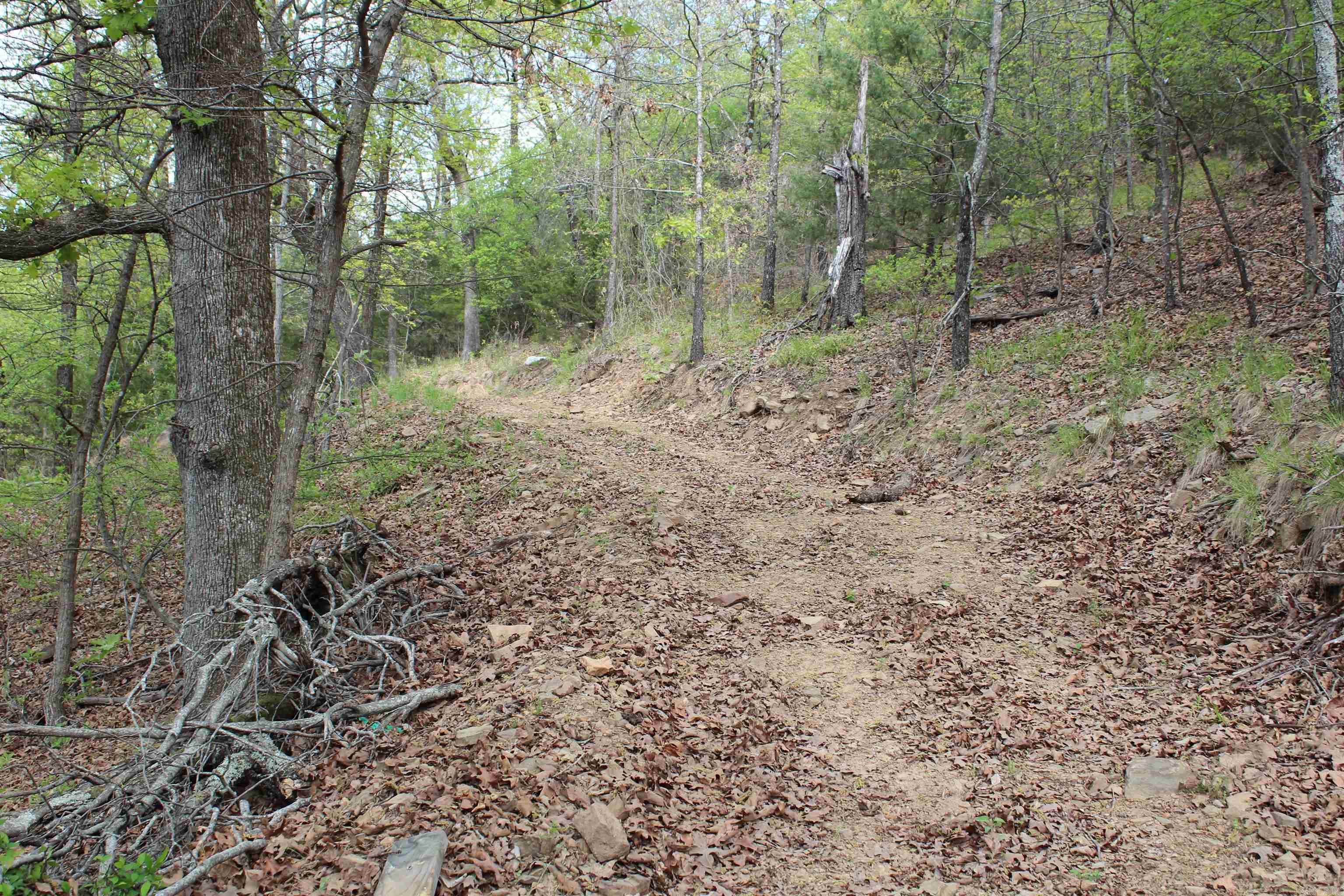 000 Hog Thief Valley  Magazine, AR