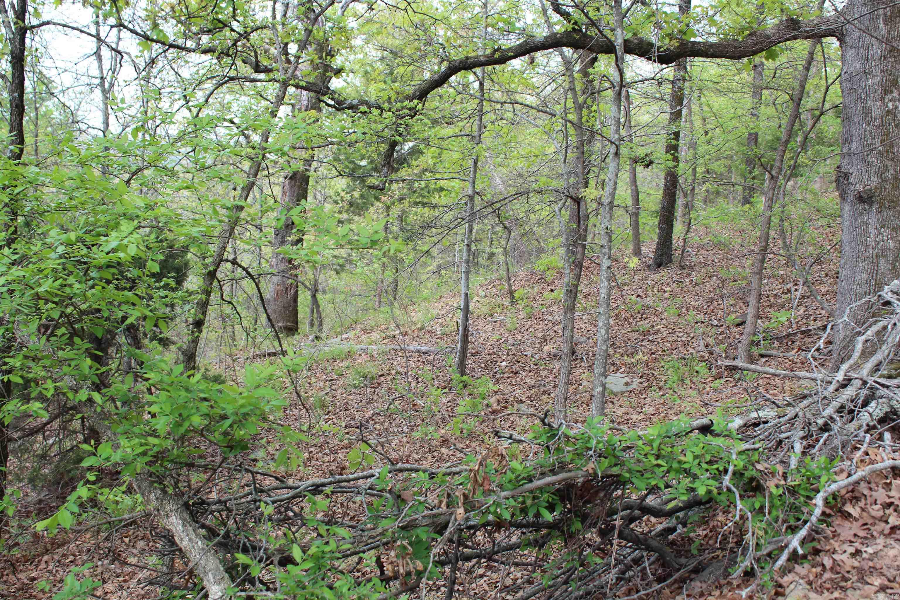 000 Hog Thief Valley  Magazine, AR