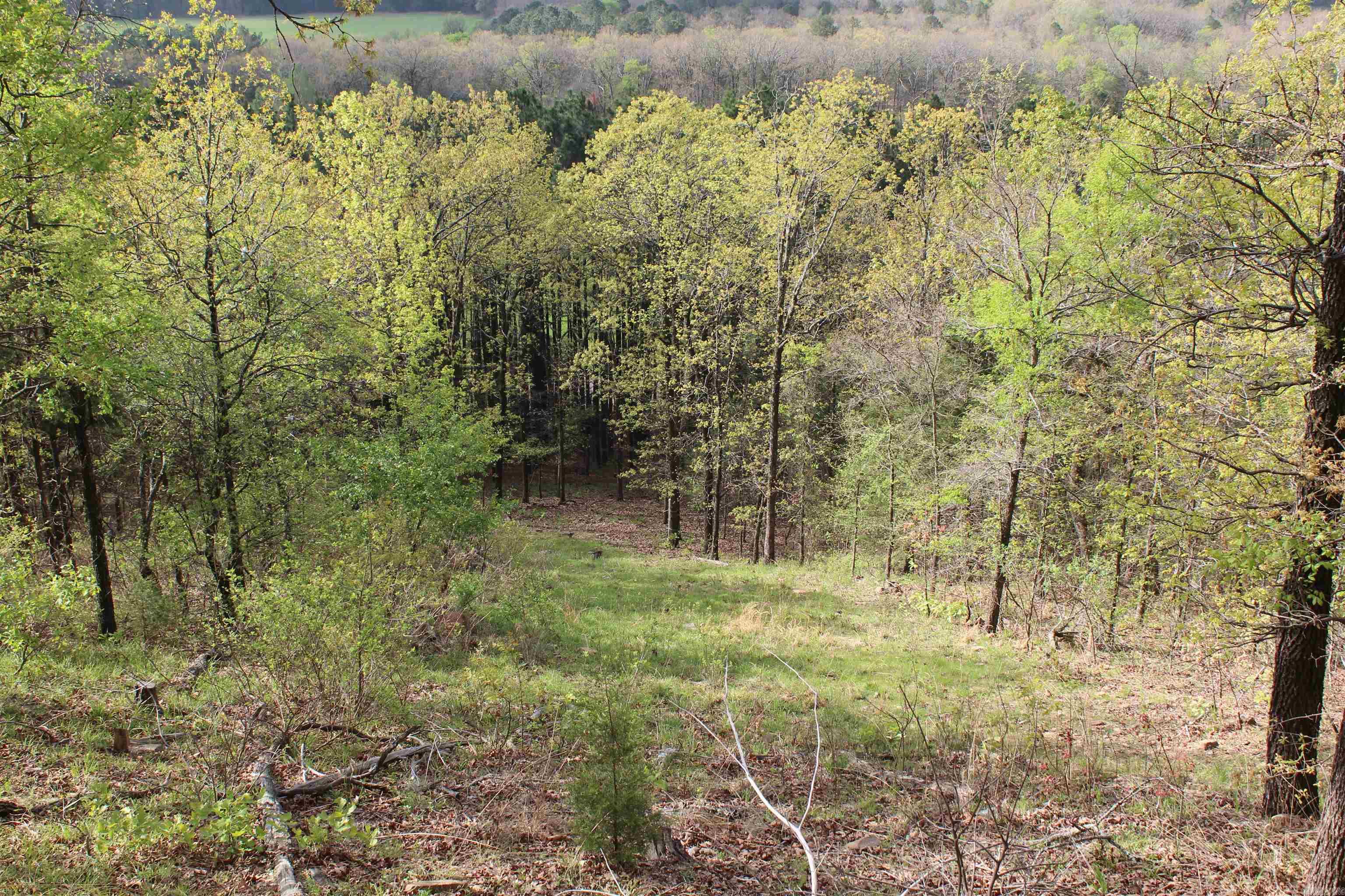 000 Hog Thief Valley  Magazine, AR