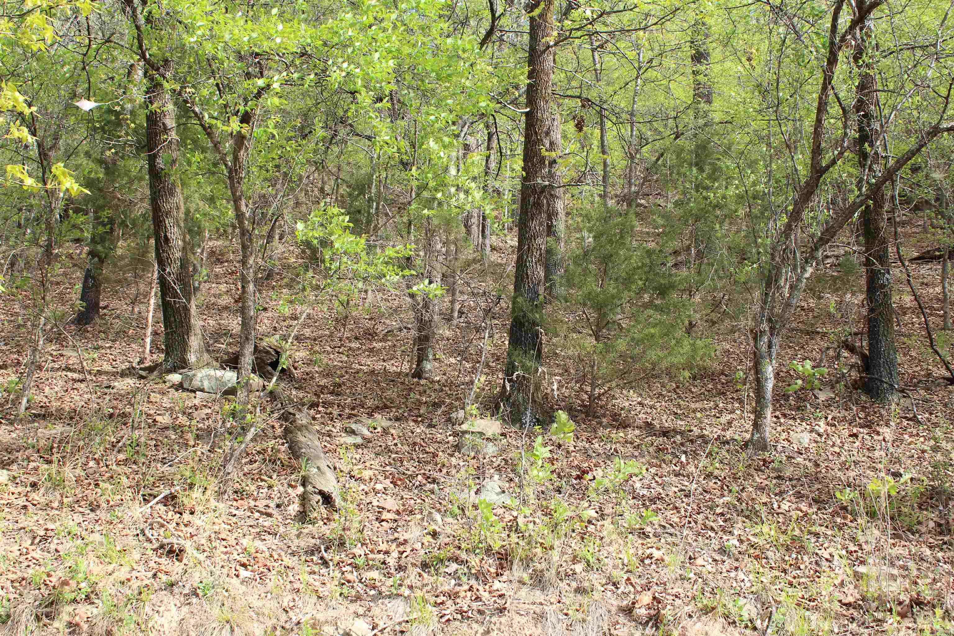 000 Hog Thief Valley  Magazine, AR