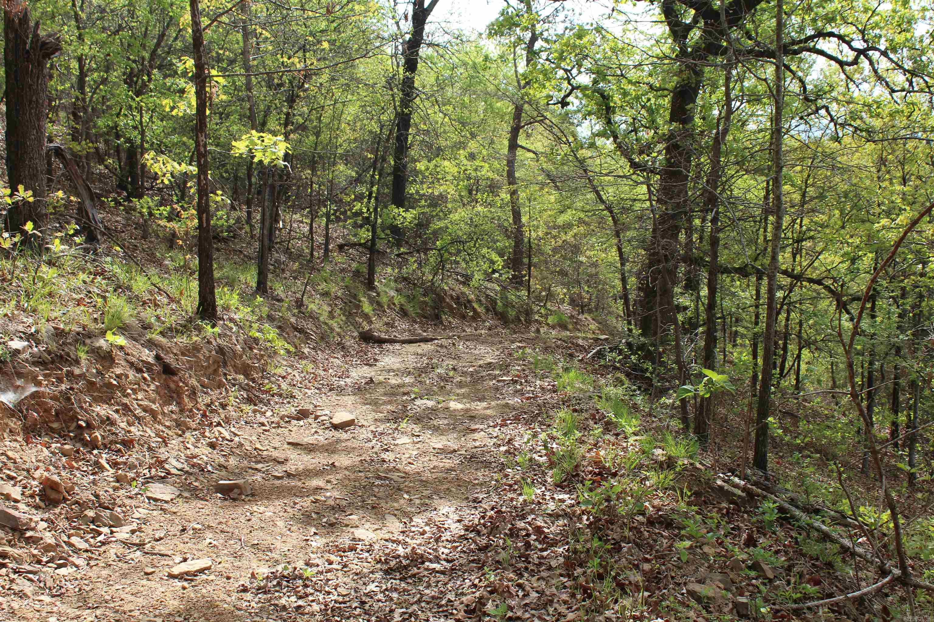 000 Hog Thief Valley  Magazine, AR