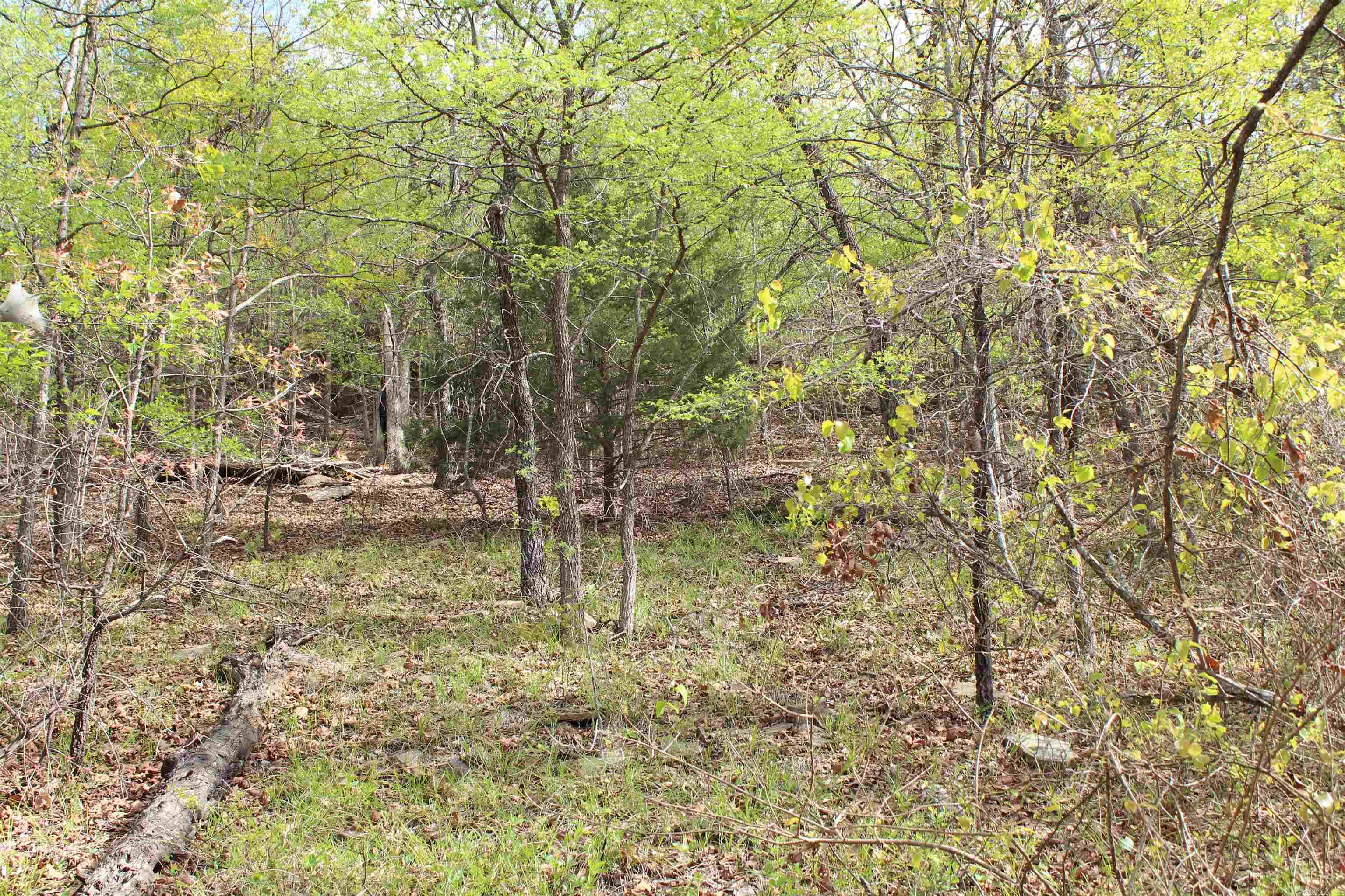 000 Hog Thief Valley  Magazine, AR