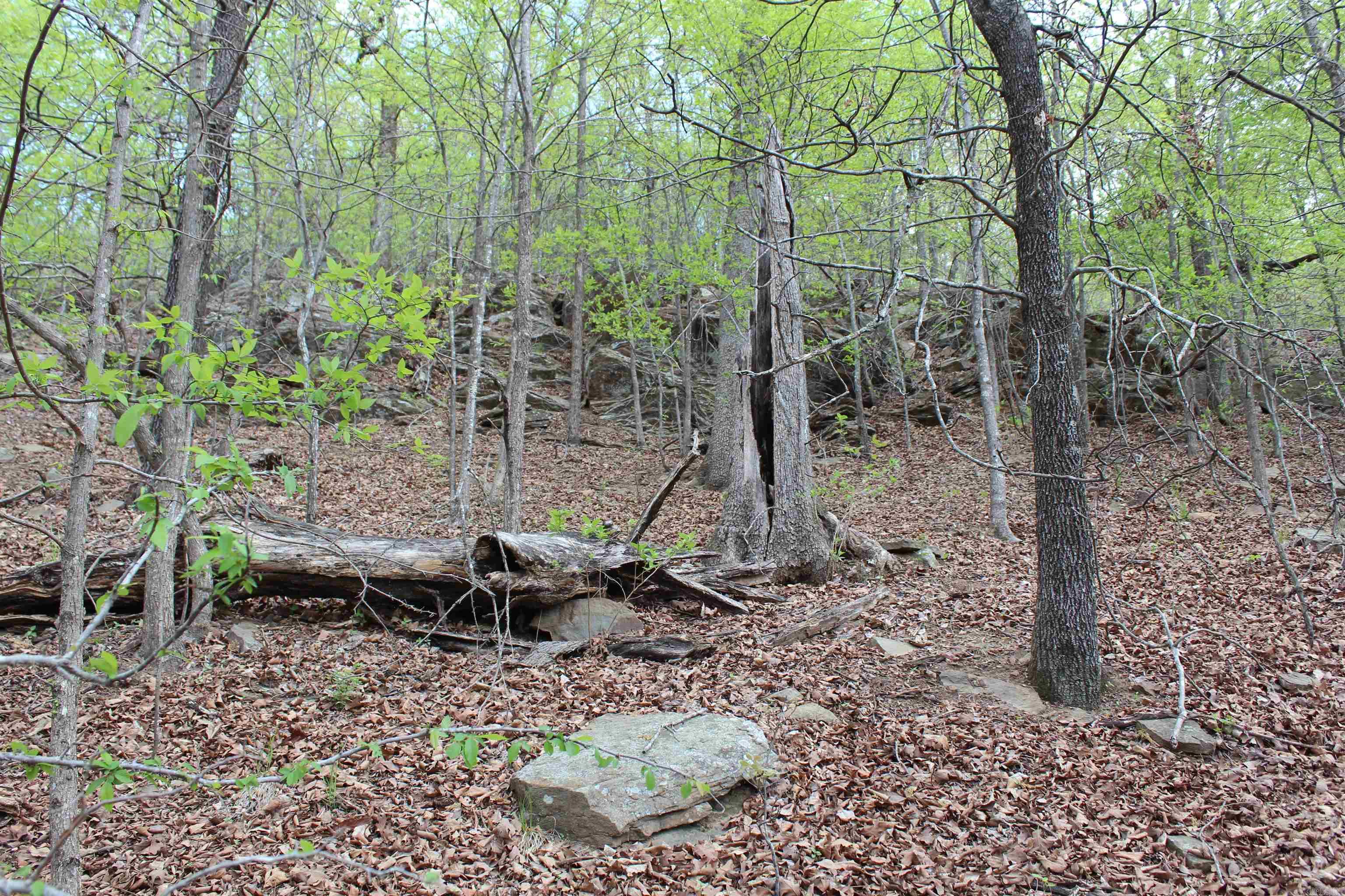 000 Hog Thief Valley  Magazine, AR