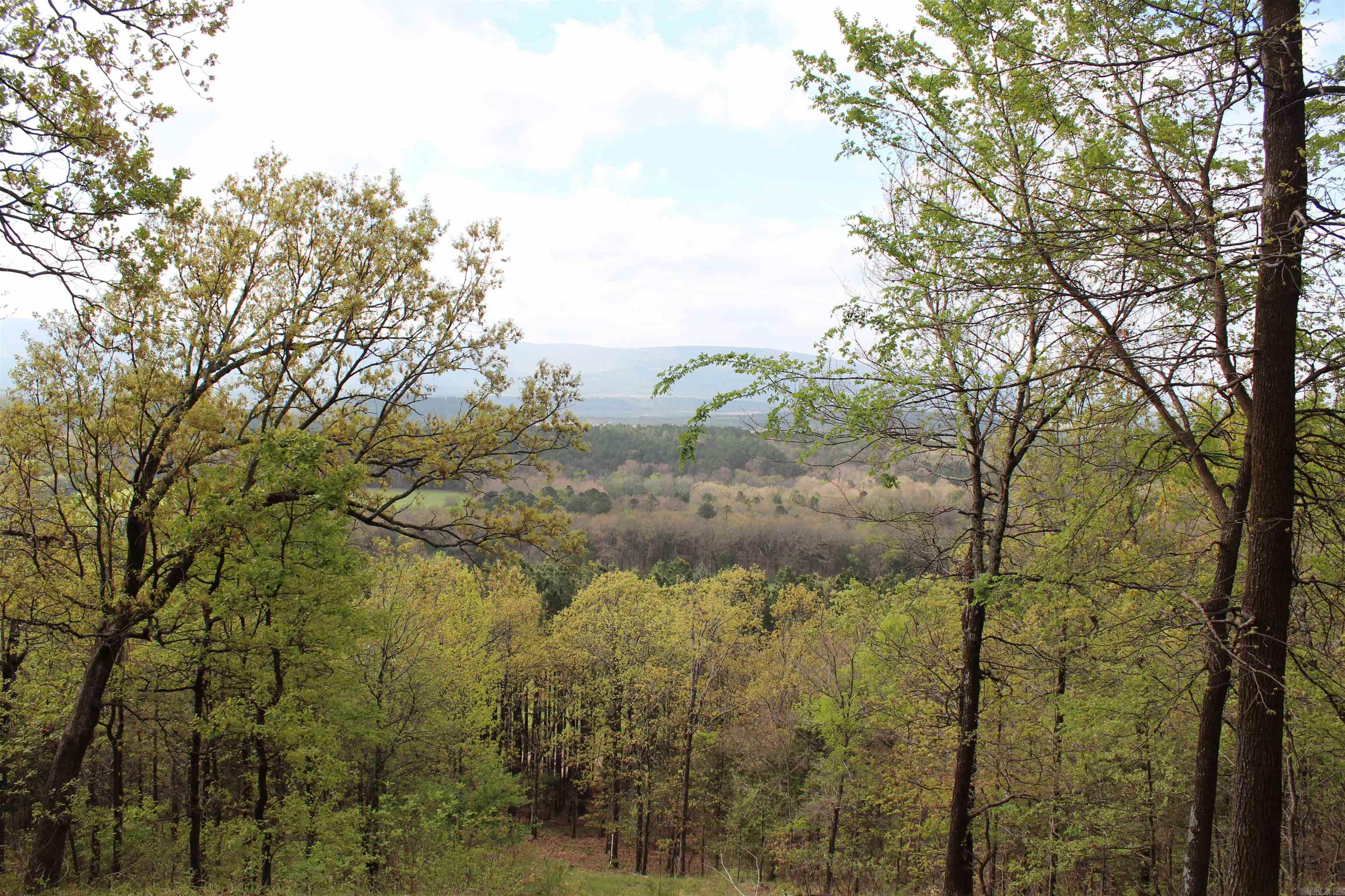 000 Hog Thief Valley  Magazine, AR