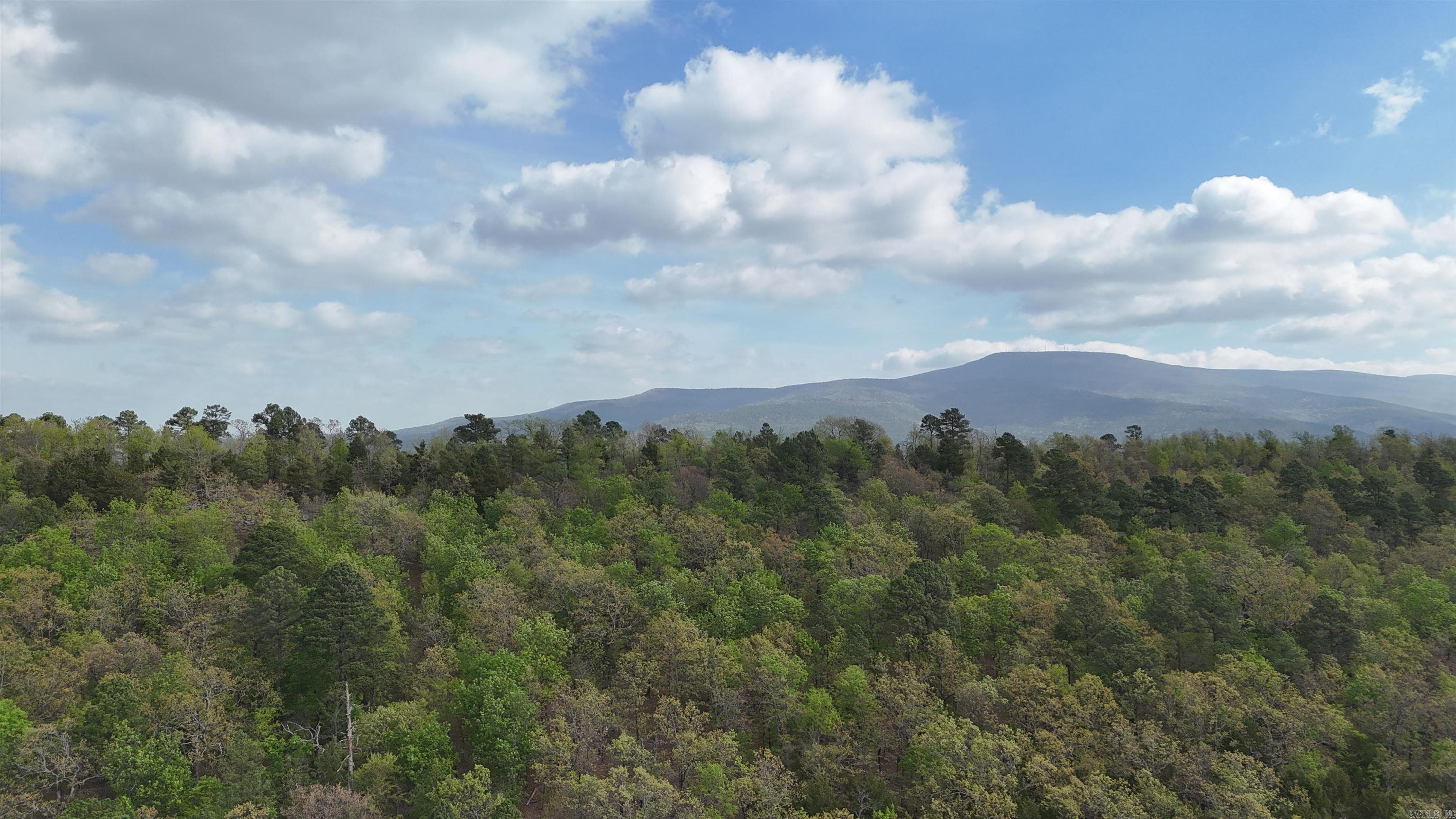 000 Hog Thief Valley  Magazine, AR