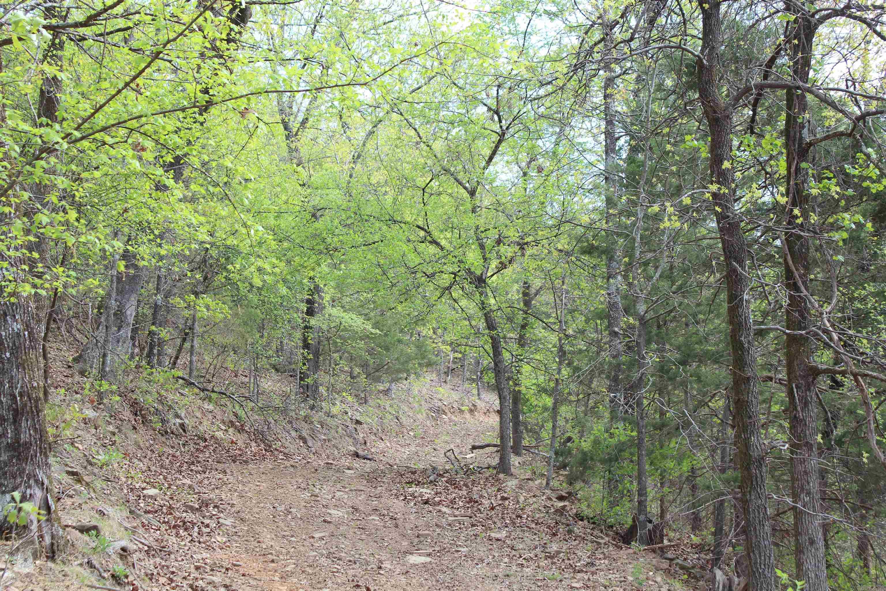 000 Hog Thief Valley  Magazine, AR