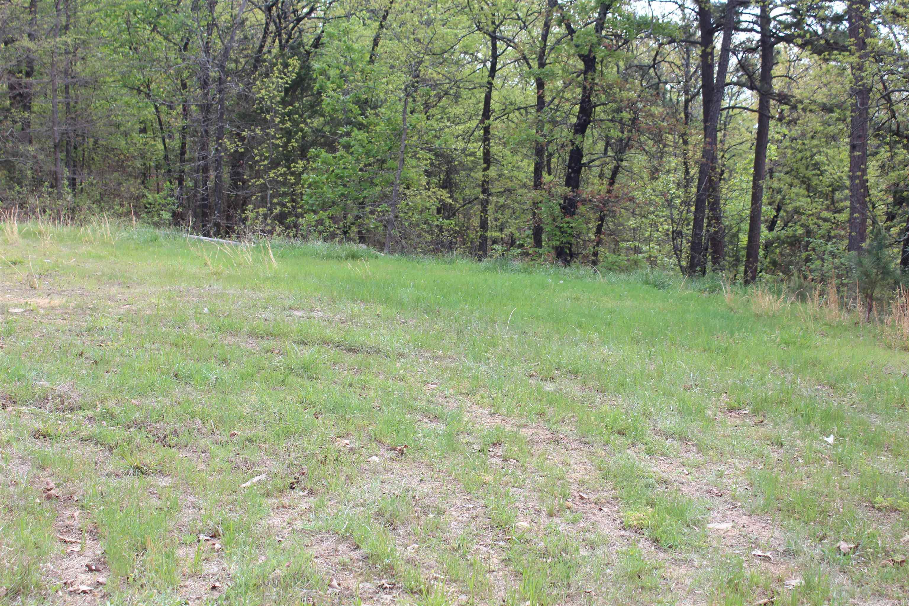 000 Hog Thief Valley  Magazine, AR