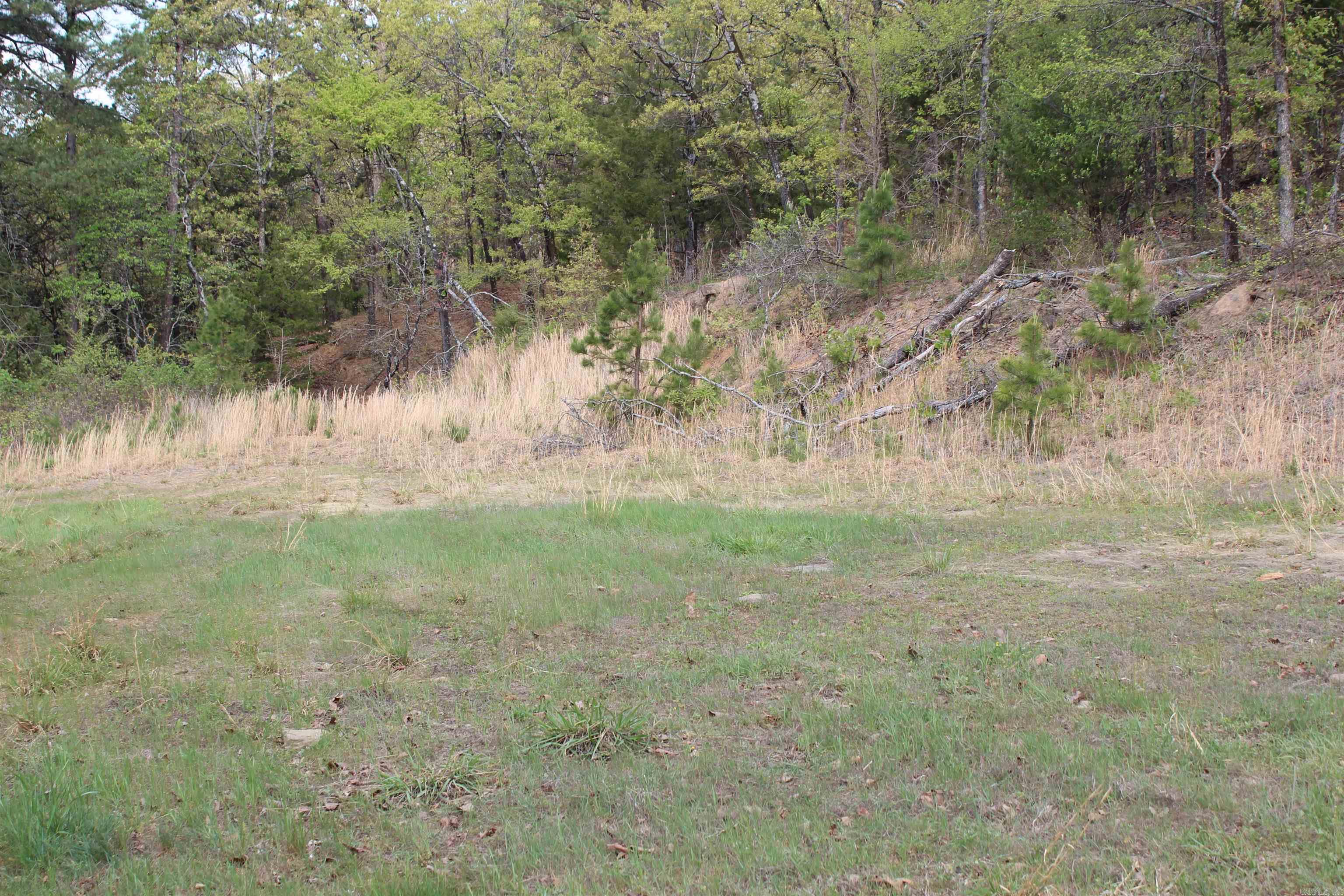 000 Hog Thief Valley  Magazine, AR