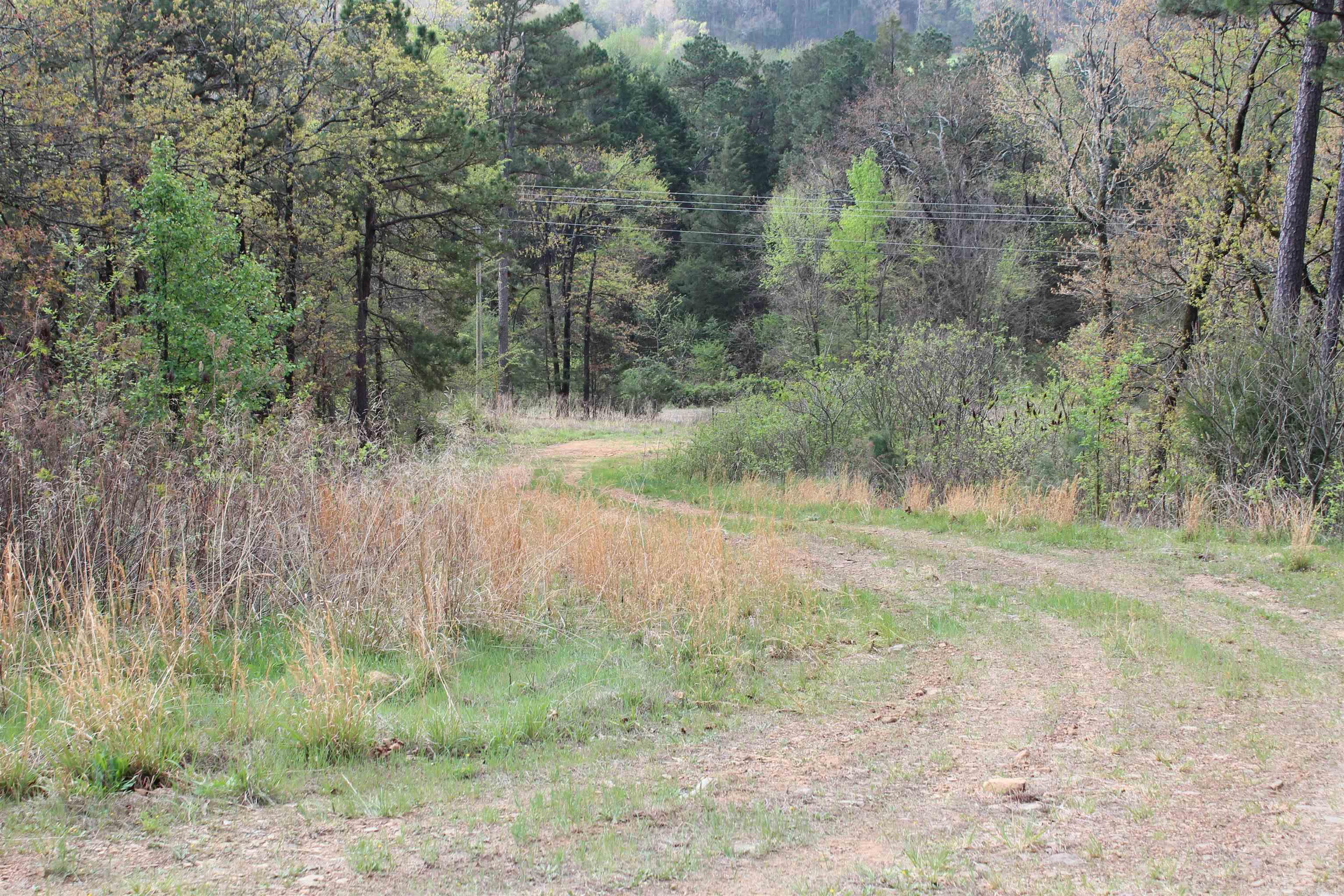 000 Hog Thief Valley  Magazine, AR