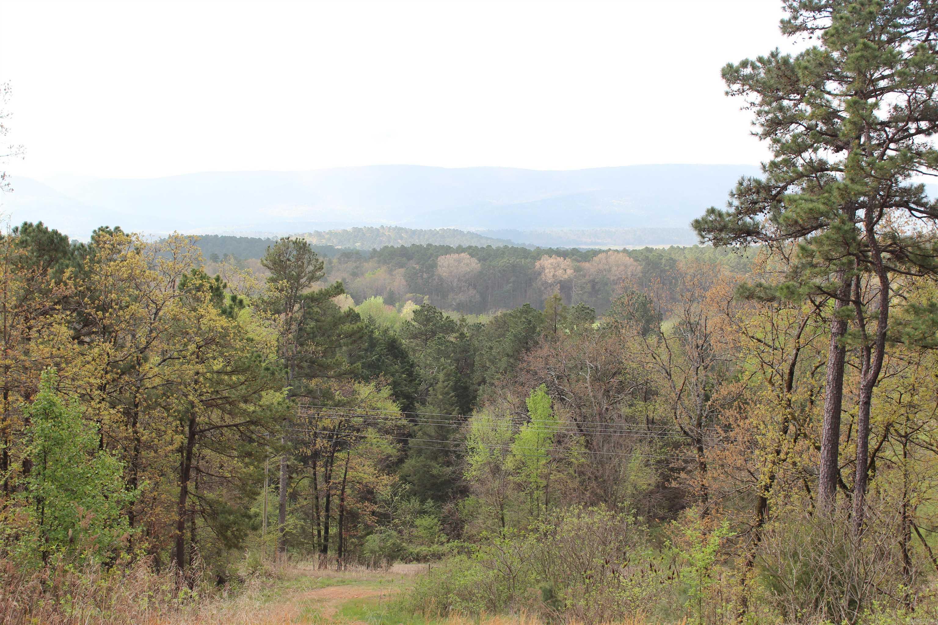 000 Hog Thief Valley  Magazine, AR