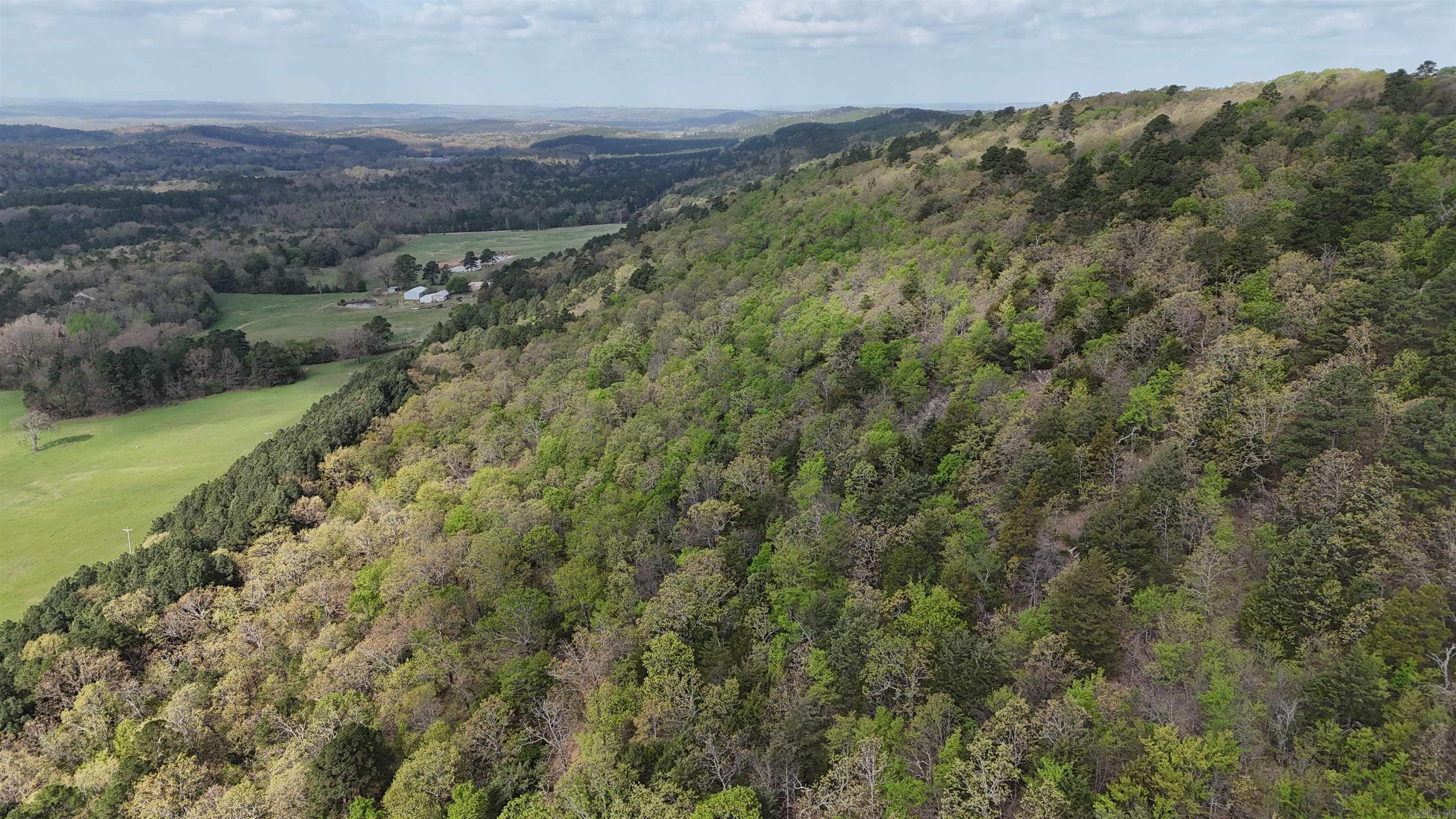 000 Hog Thief Valley  Magazine, AR