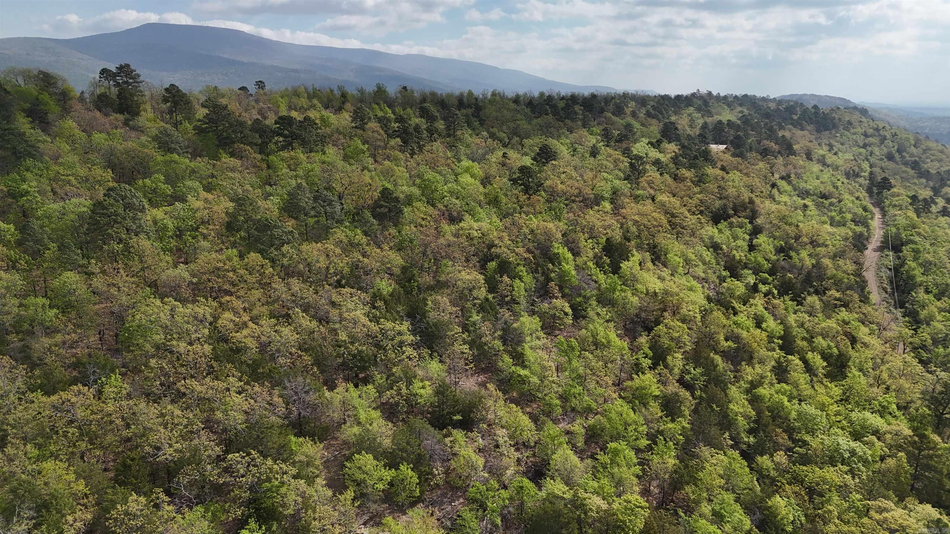 000 Hog Thief Valley  Magazine, AR