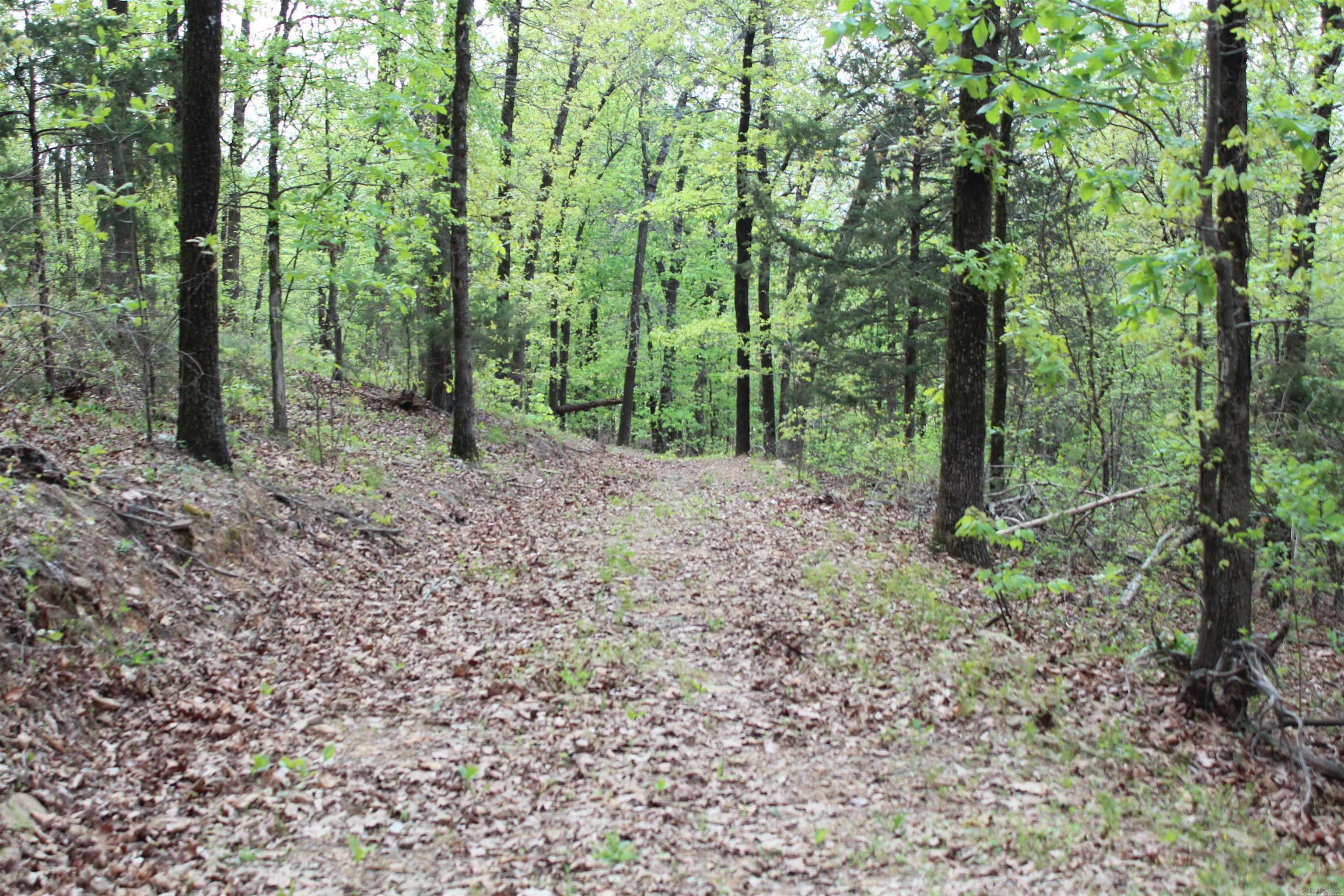 000 Hog Thief Valley  Magazine, AR