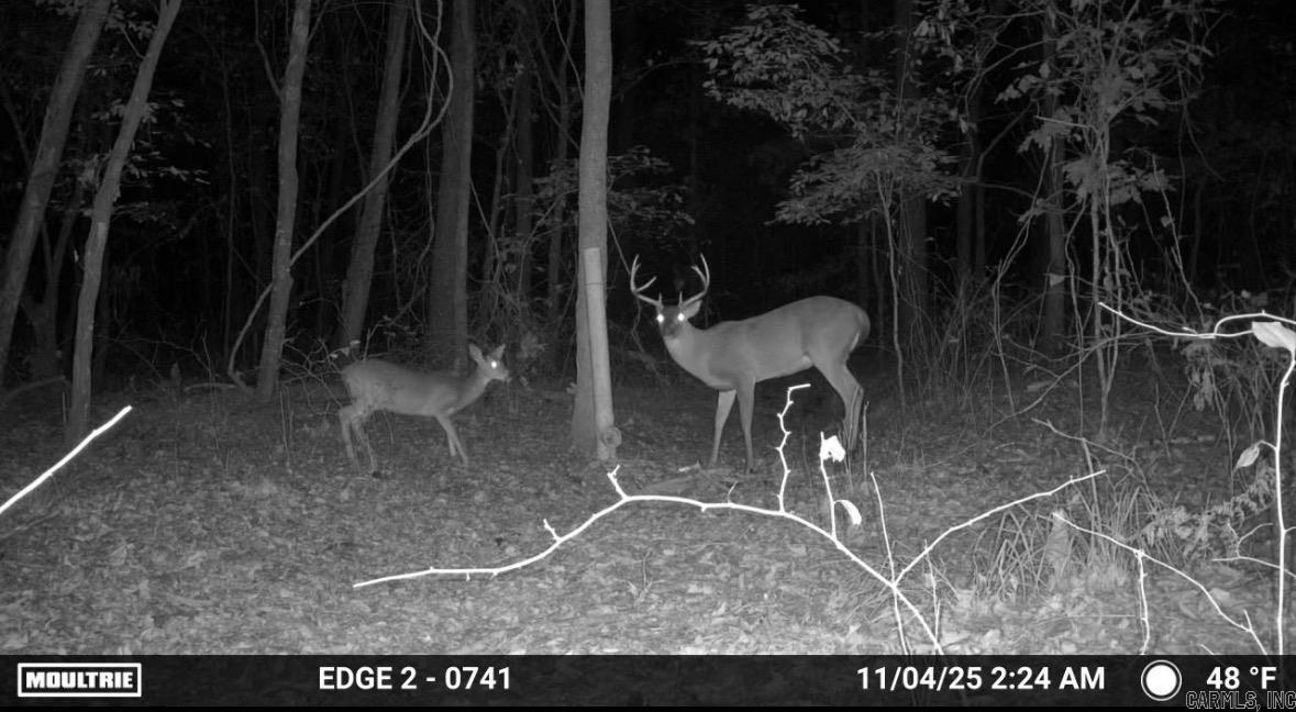 360 W Rowell  Rison, AR